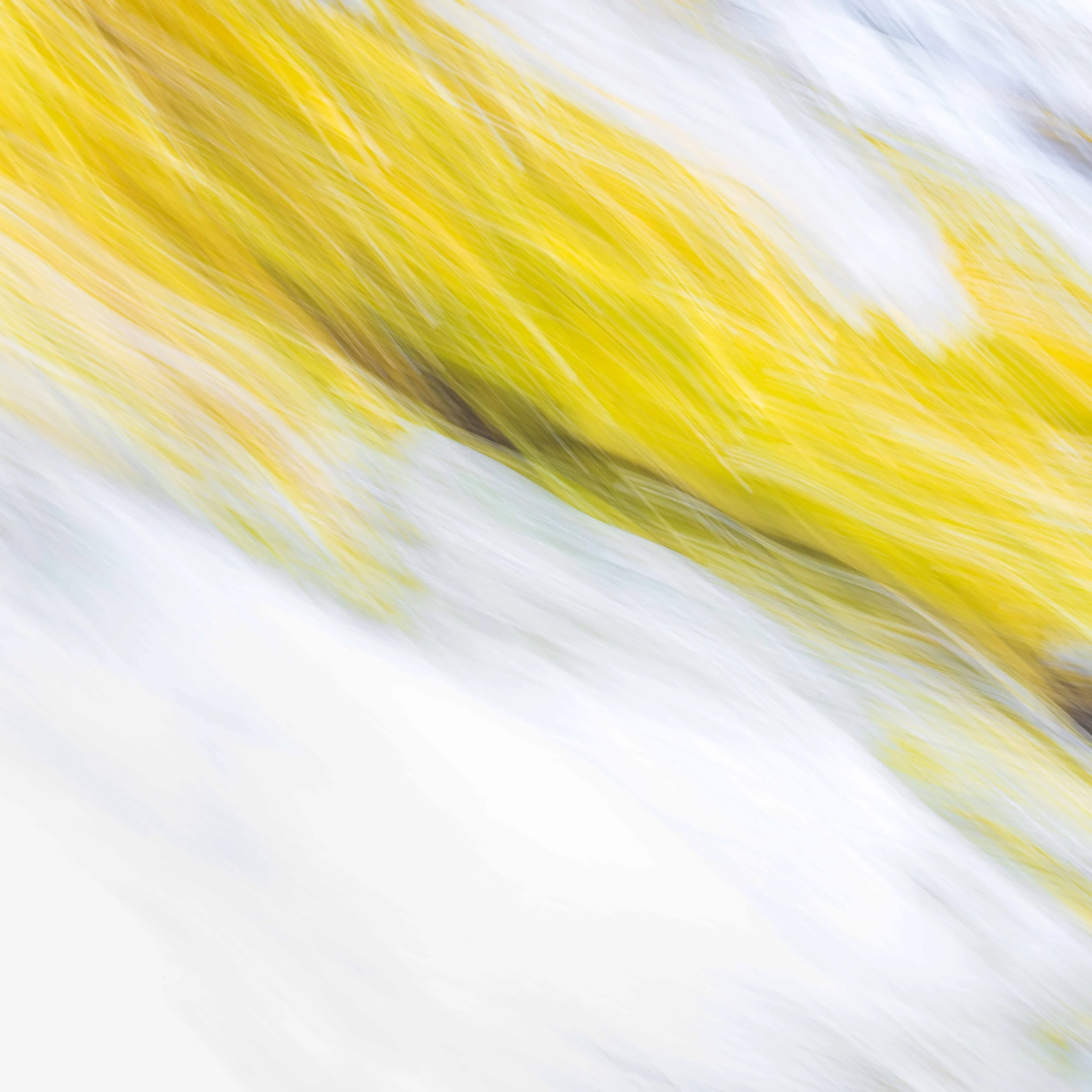 _DSC8145.jpg