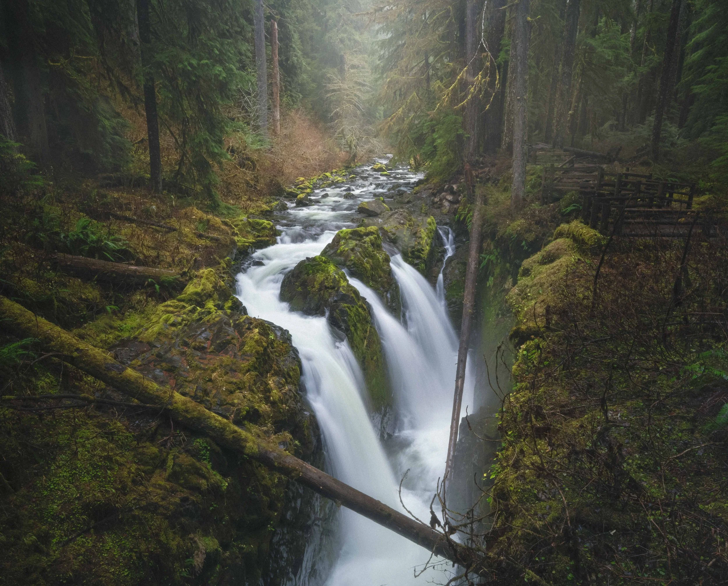 _DSC1820-Edit-2.jpg