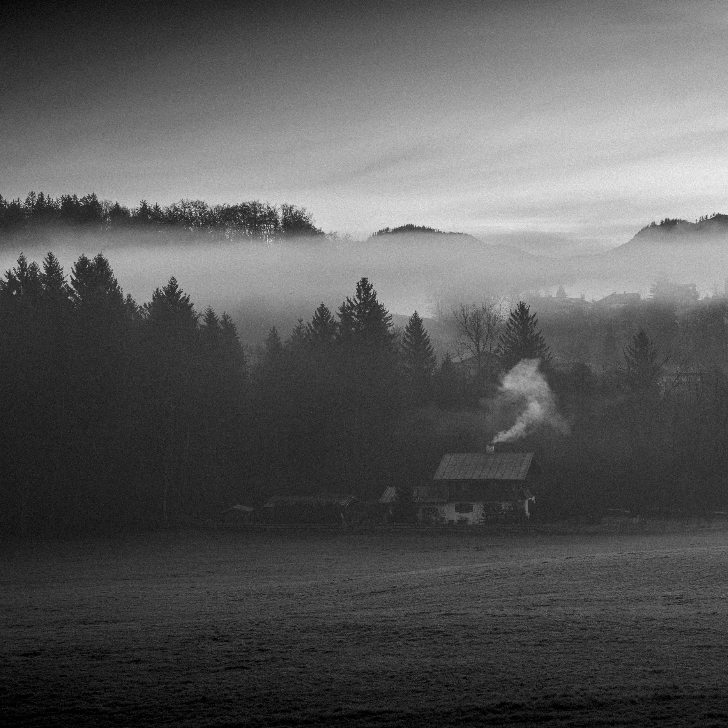 _DSC2804.jpg