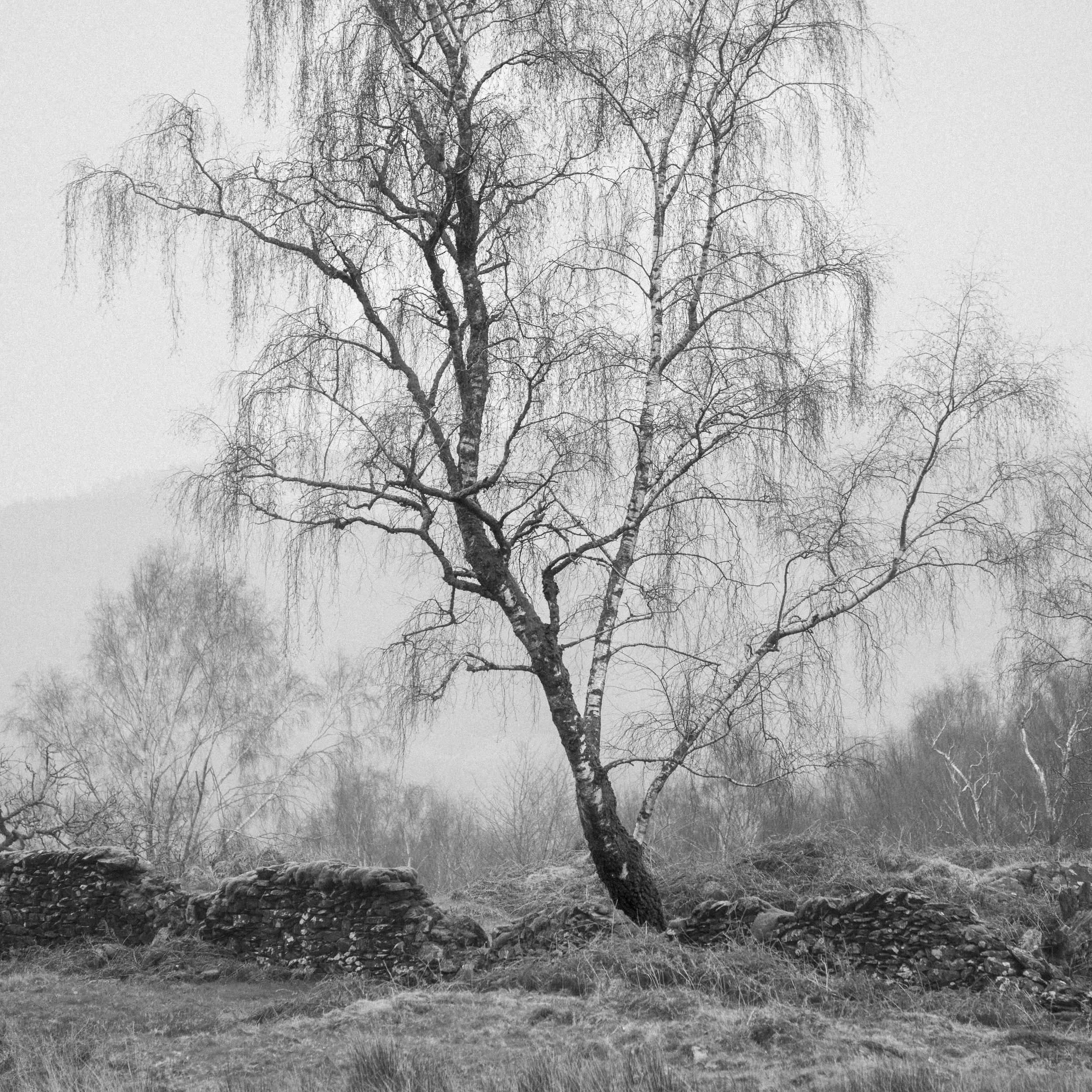 _DSC8914.jpg