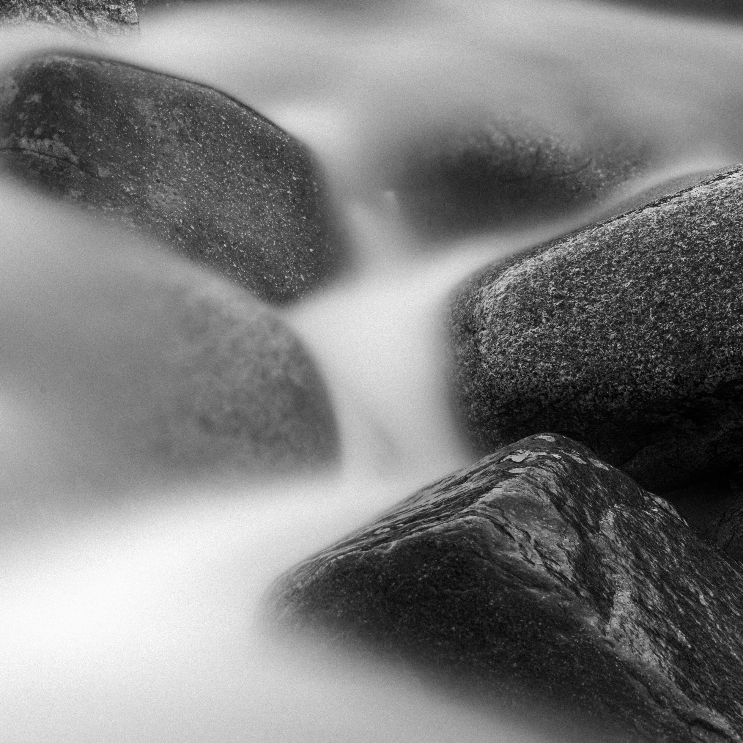 _DSC5071.jpg