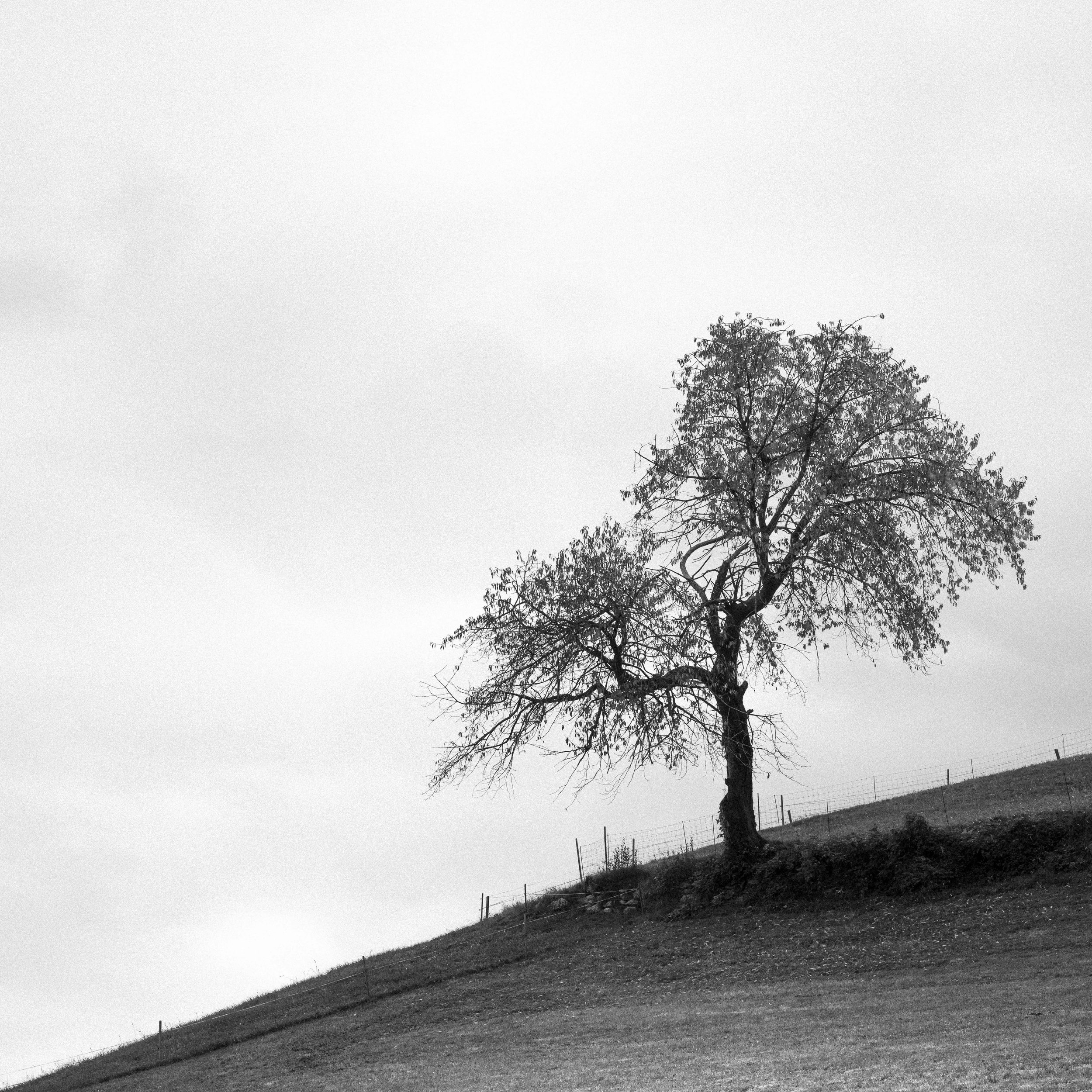 _DSC1076.jpg