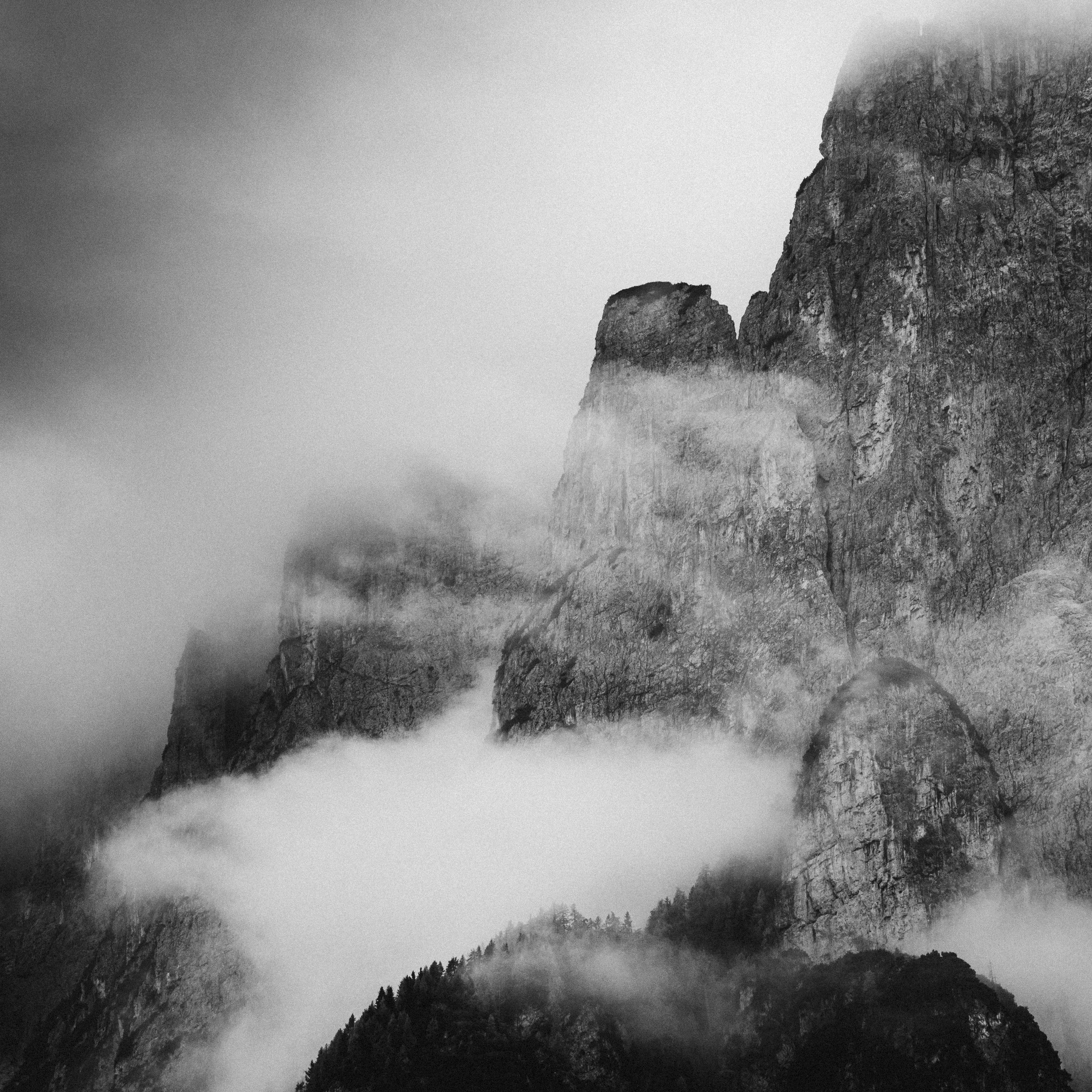 _DSC1083.jpg