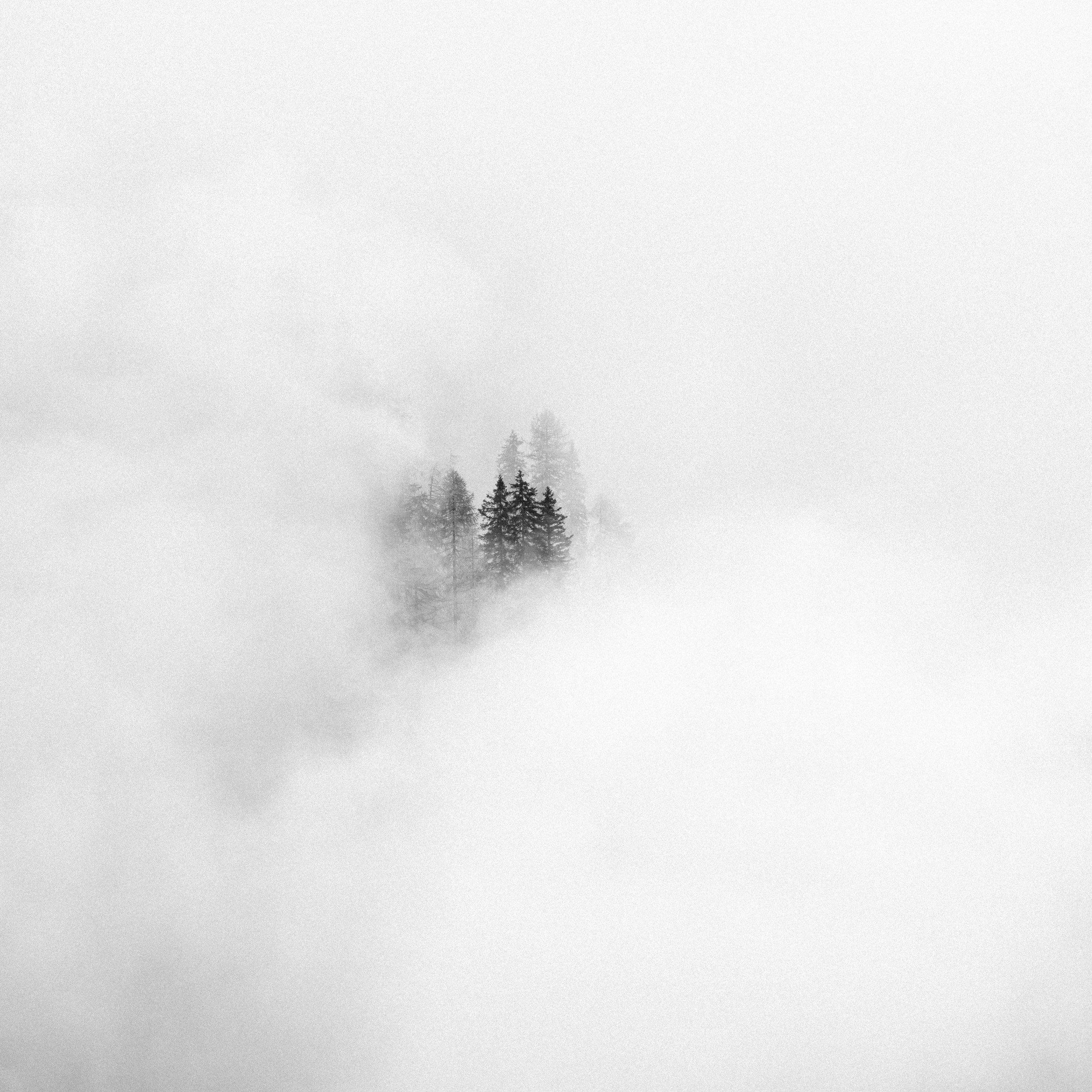 _DSC1825.jpg