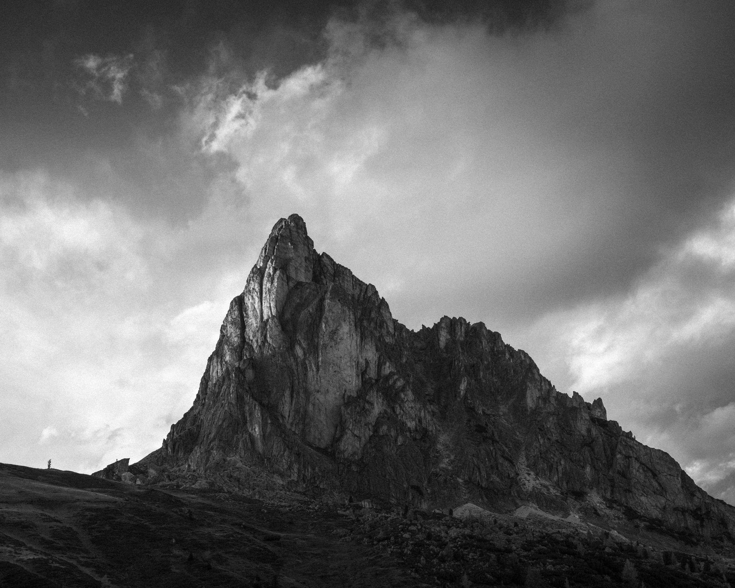 _DSC1444.jpg