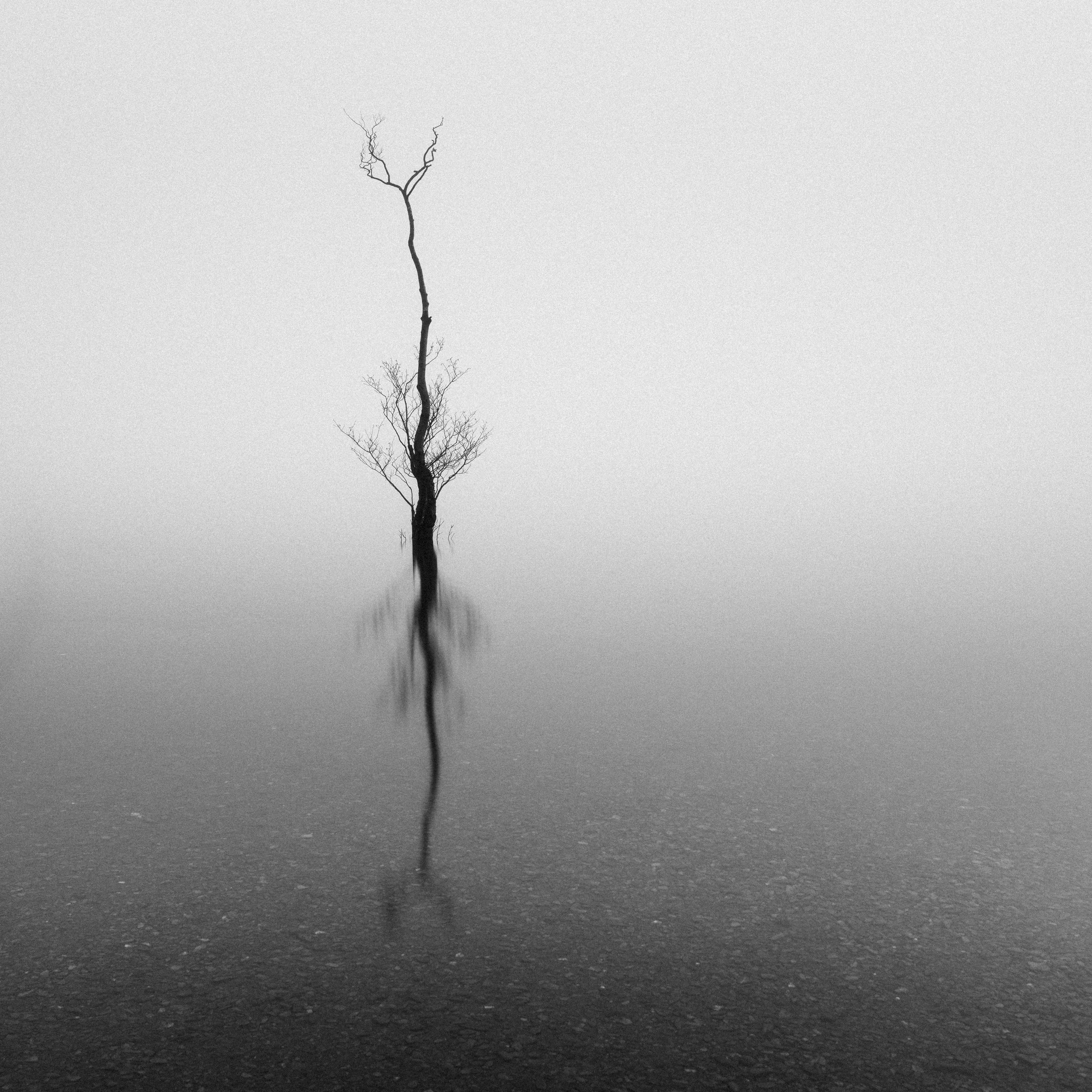_DSC7792.jpg