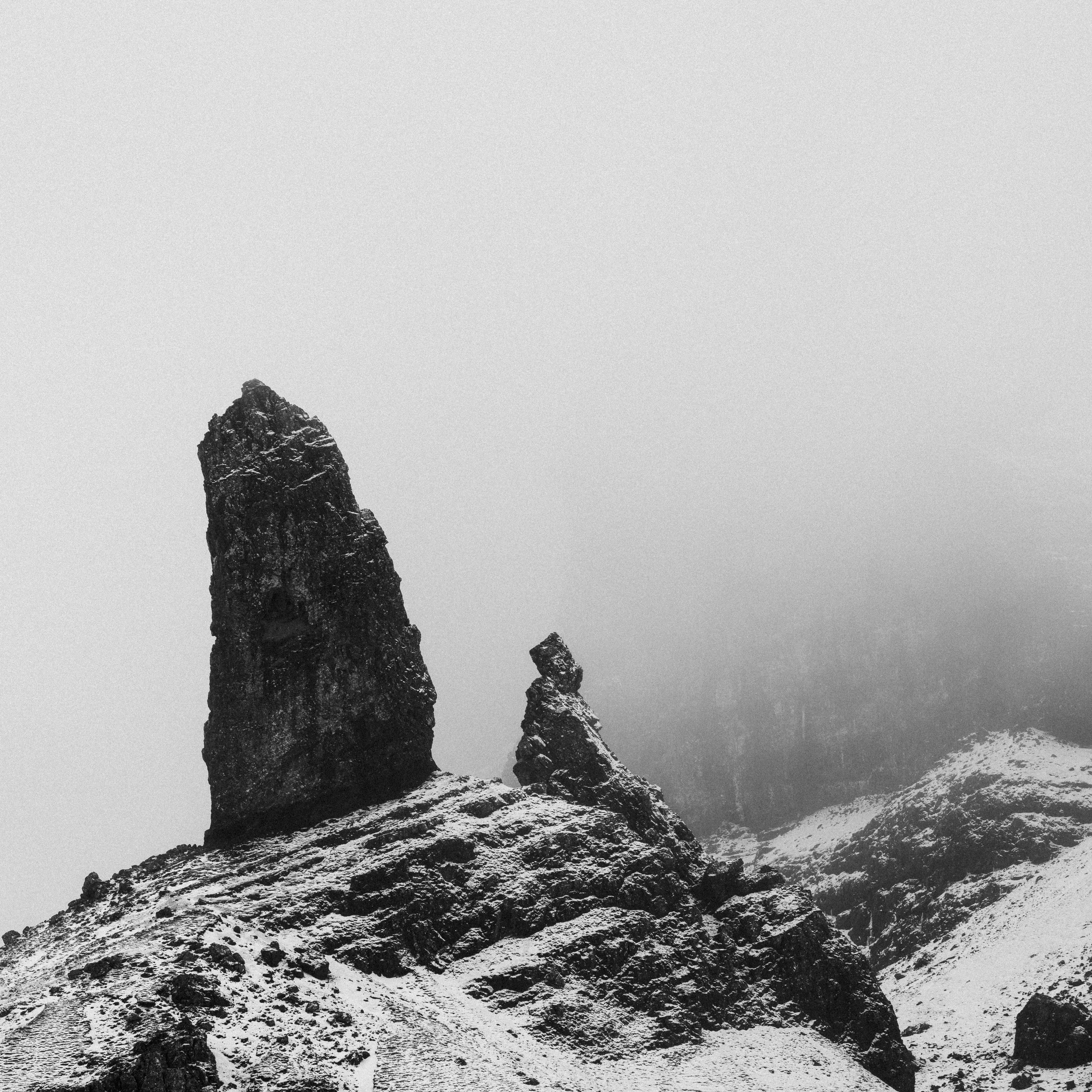 _DSC0390.jpg