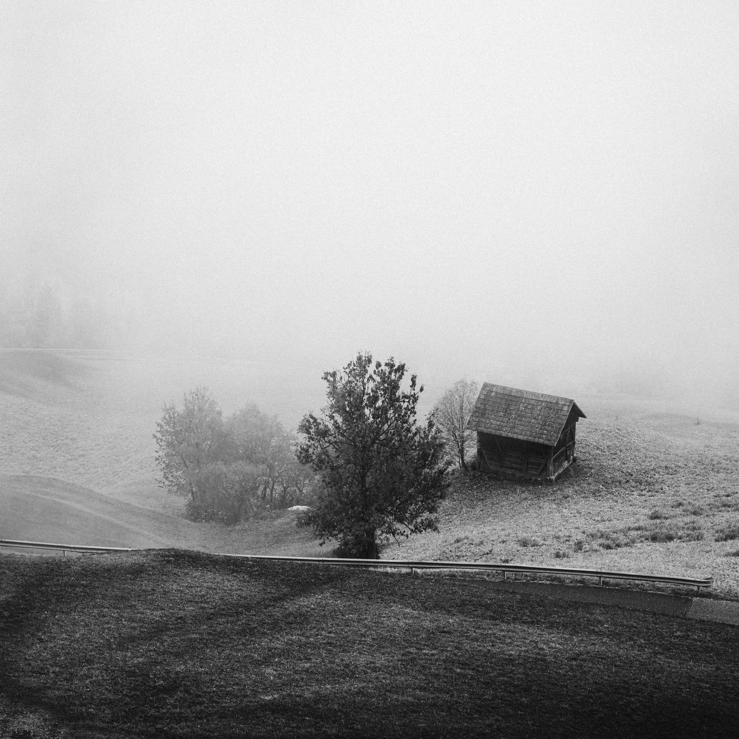 _DSC0826.jpg