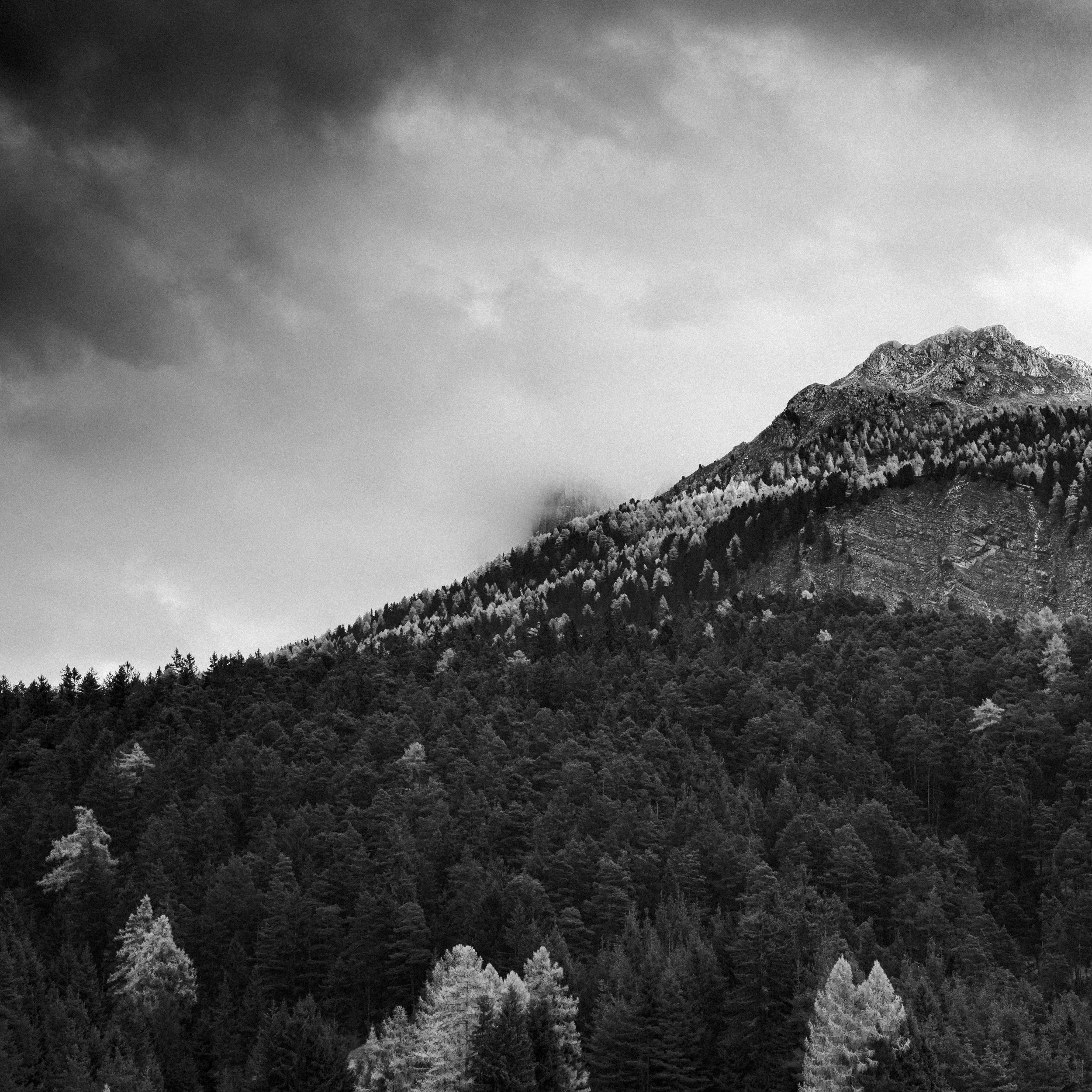 _DSC1801.jpg