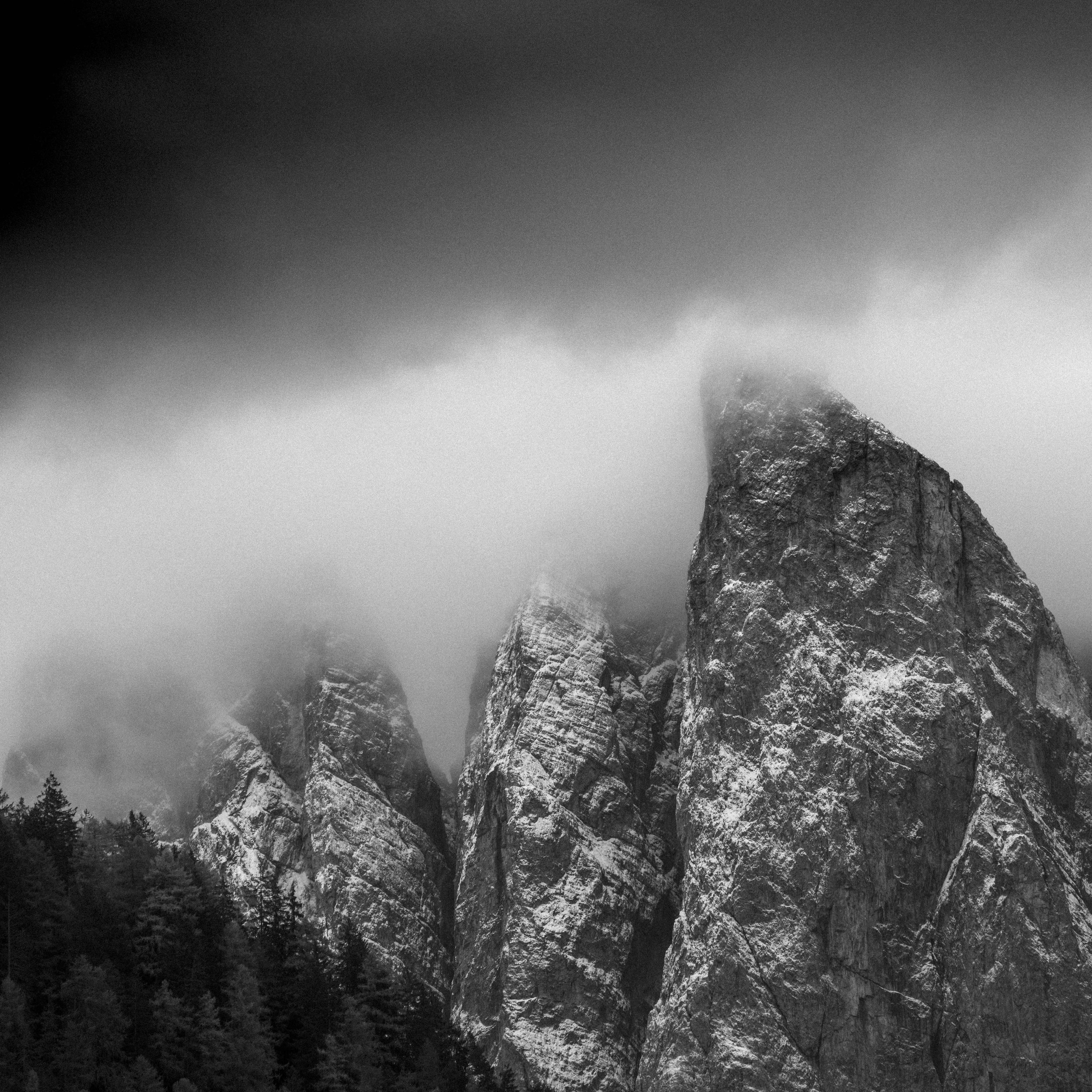 _DSC1657.jpg