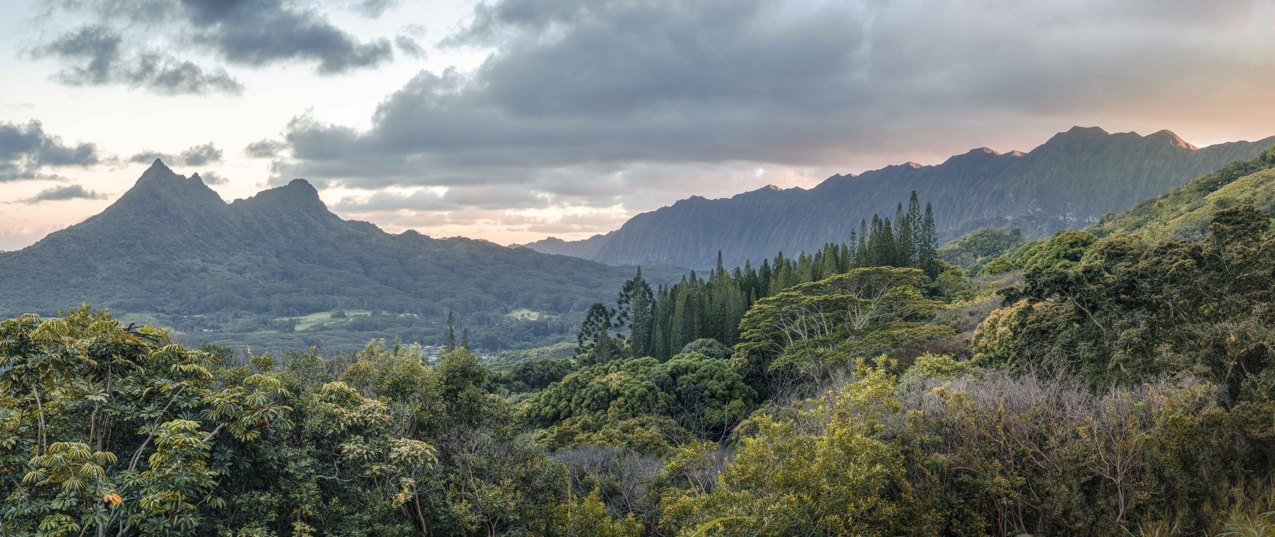 Untitled_Panorama-1 (1).jpg
