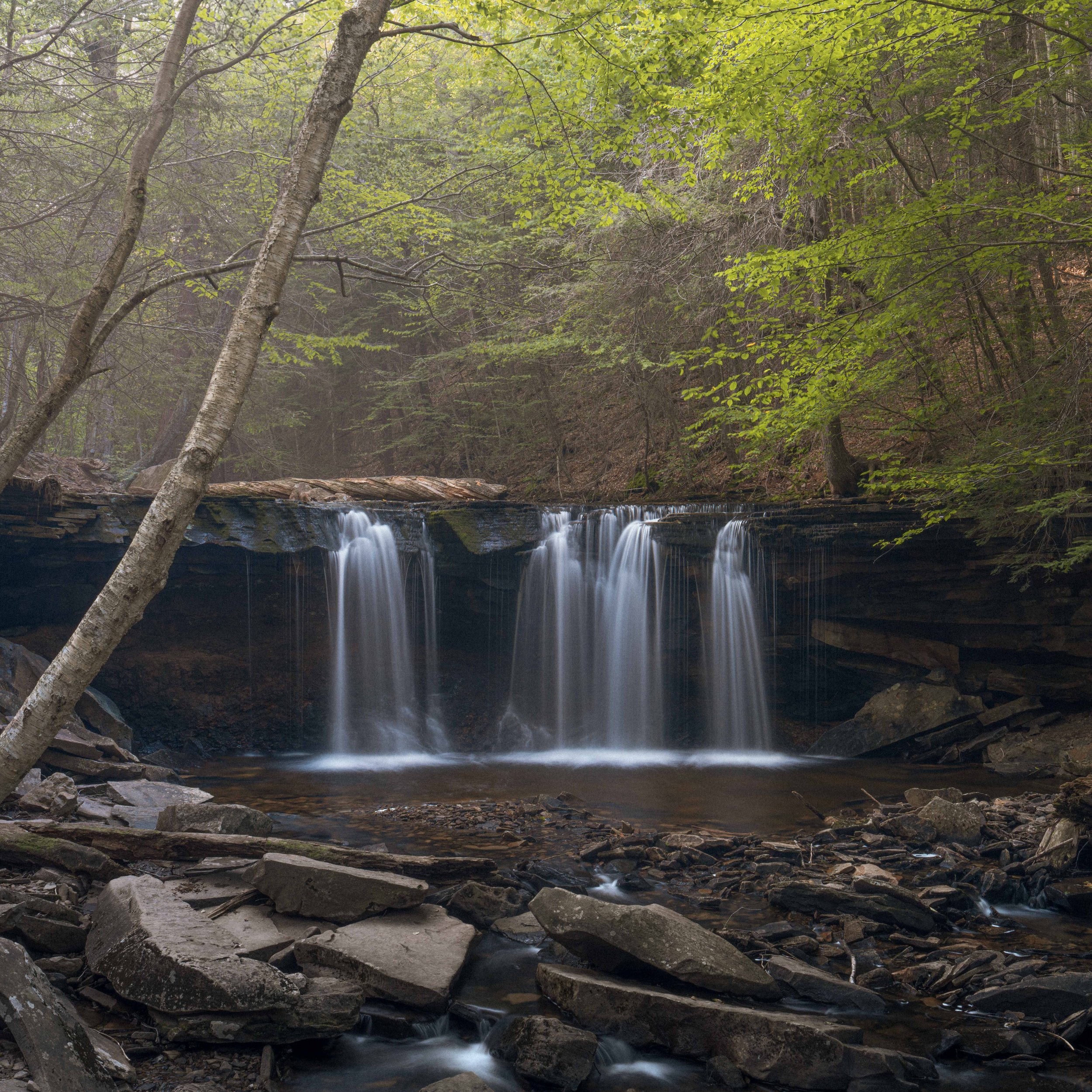 _DSC8353.jpg