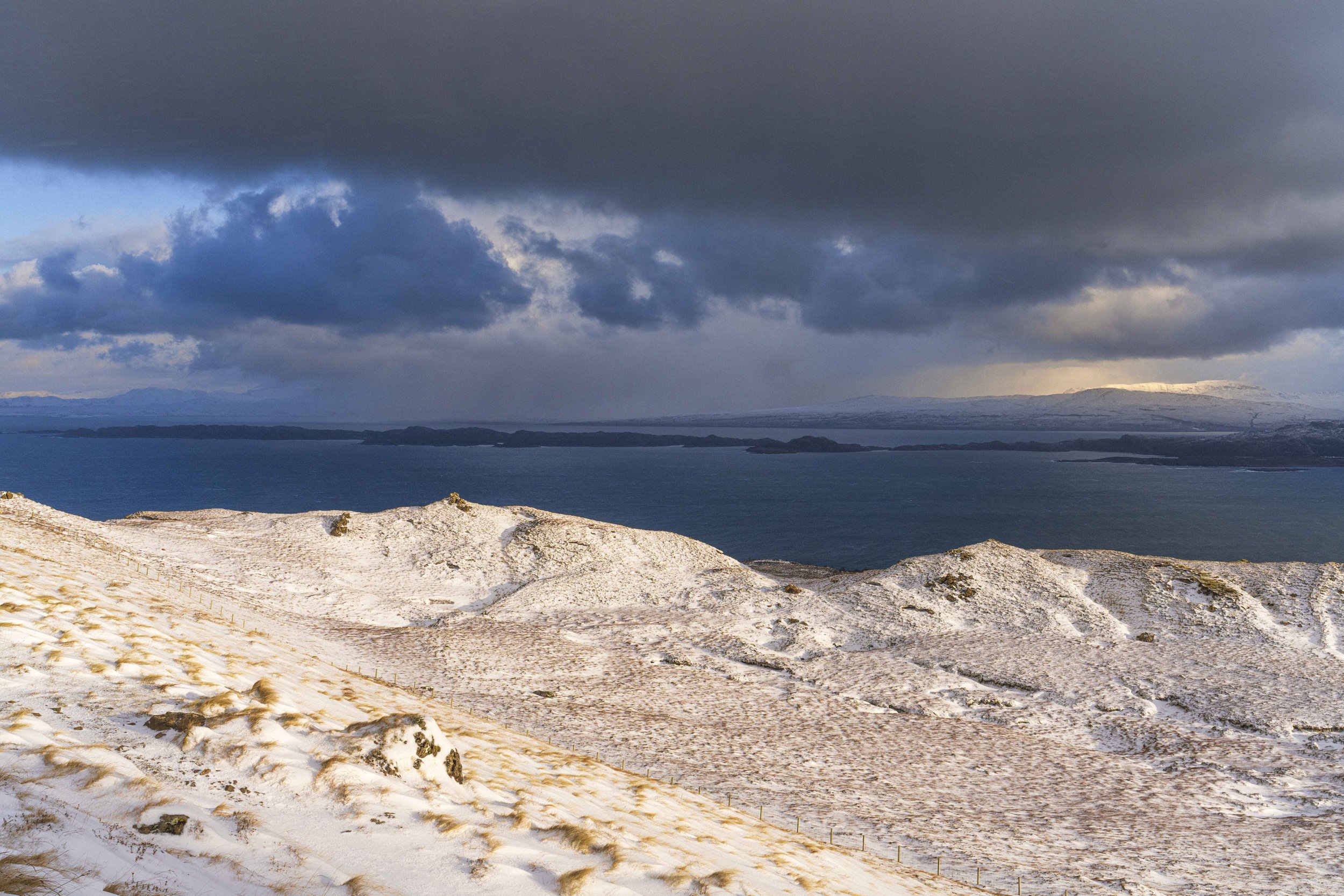 _DSC9944.jpg