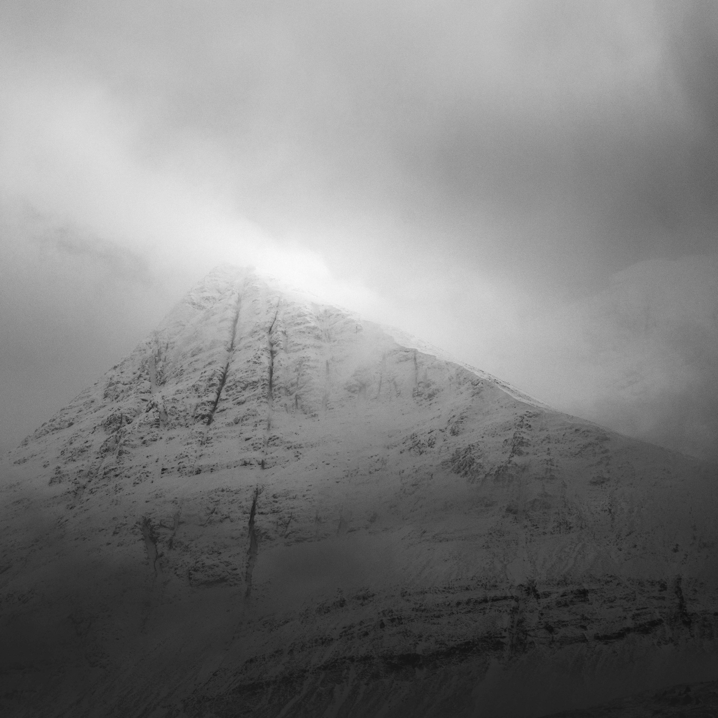 _DSC0888.jpg