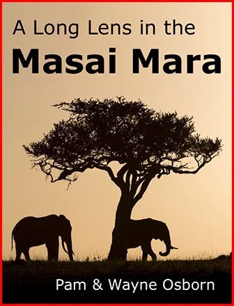 Kenya's Masai Mara: A Long Lens in the Mara by Wayne Osborn