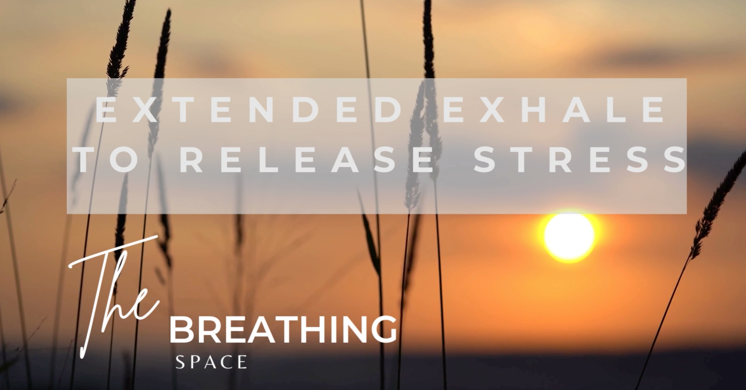 Screenshot 2025-11-24 at 8.45.38 pm.png