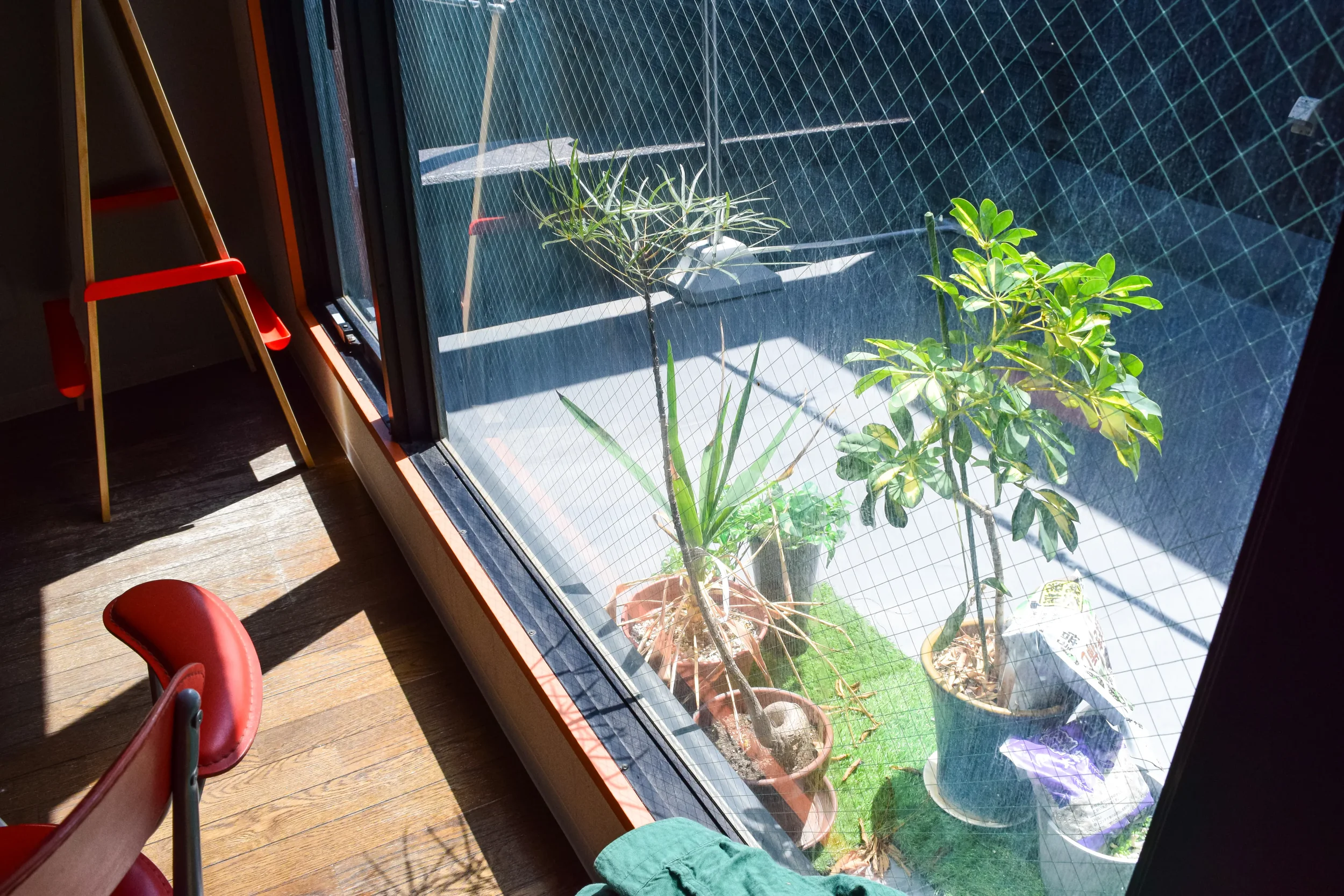 coagarikujo-shared-space-photos10.webp