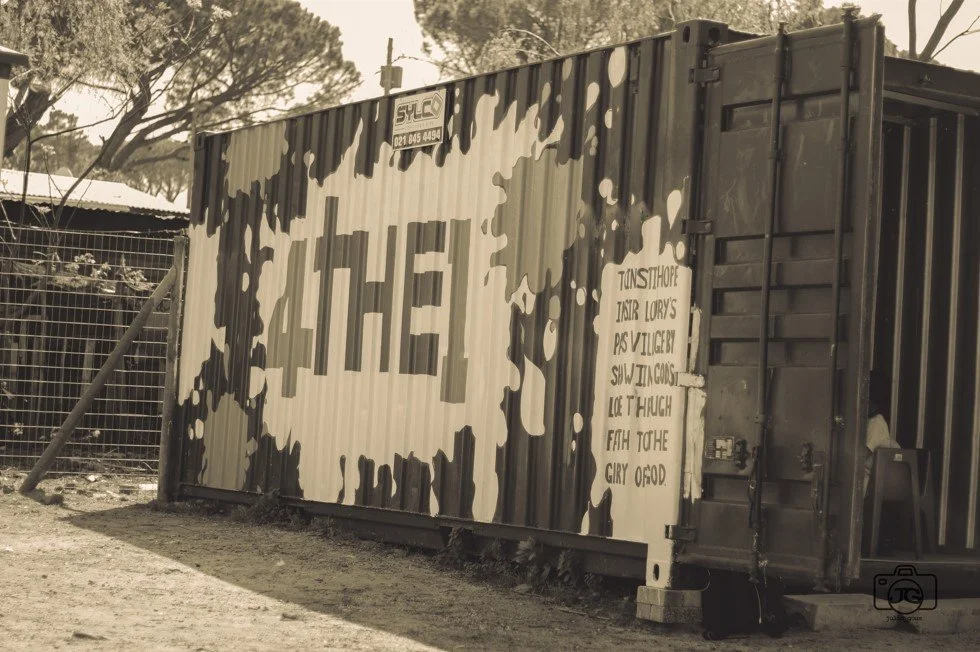 development pages.jpg