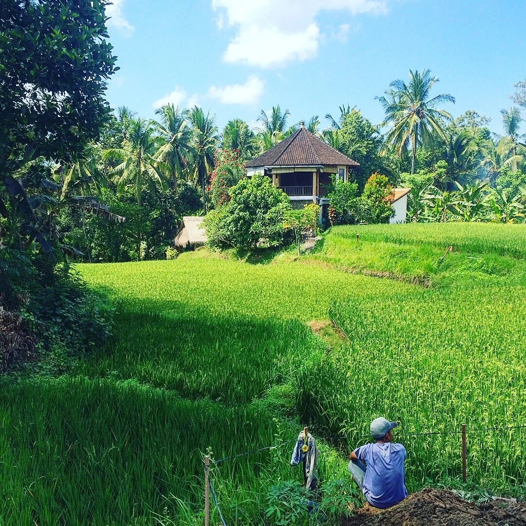 Ubud, Bali, Indonesia