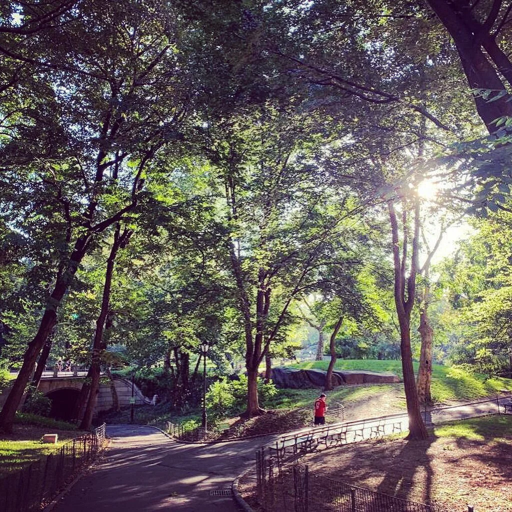 Central Park, New York, United States