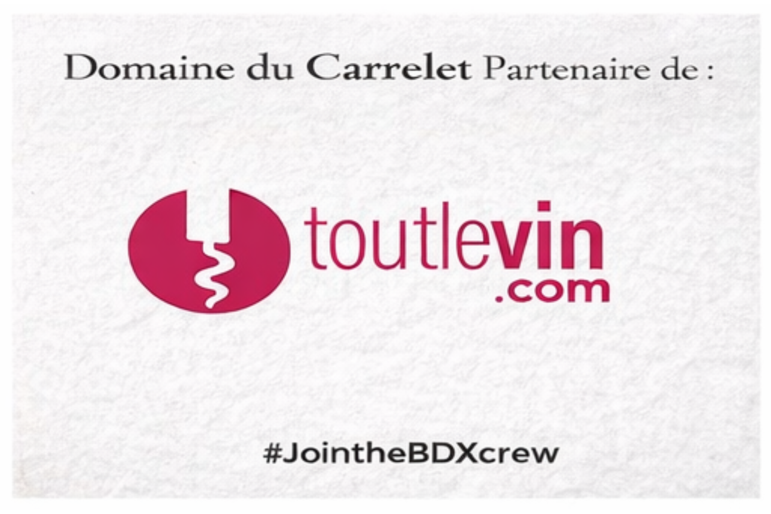 Article sur le Domaine du Carrelet, plus petit domaine viticole en AOC Bordeaux, vin rouge 100% Merlot artisanal