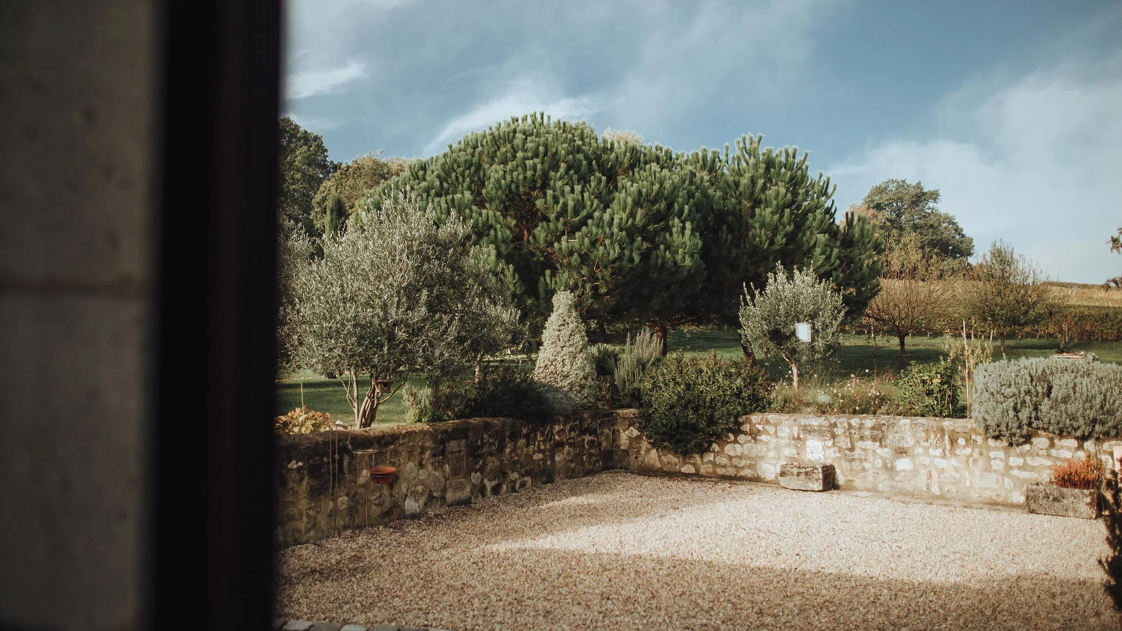 Jardin arboré du Domaine du Carrelet en Gironde, au cœur de l’environnement du micro-vignoble familial en AOC Bordeaux.