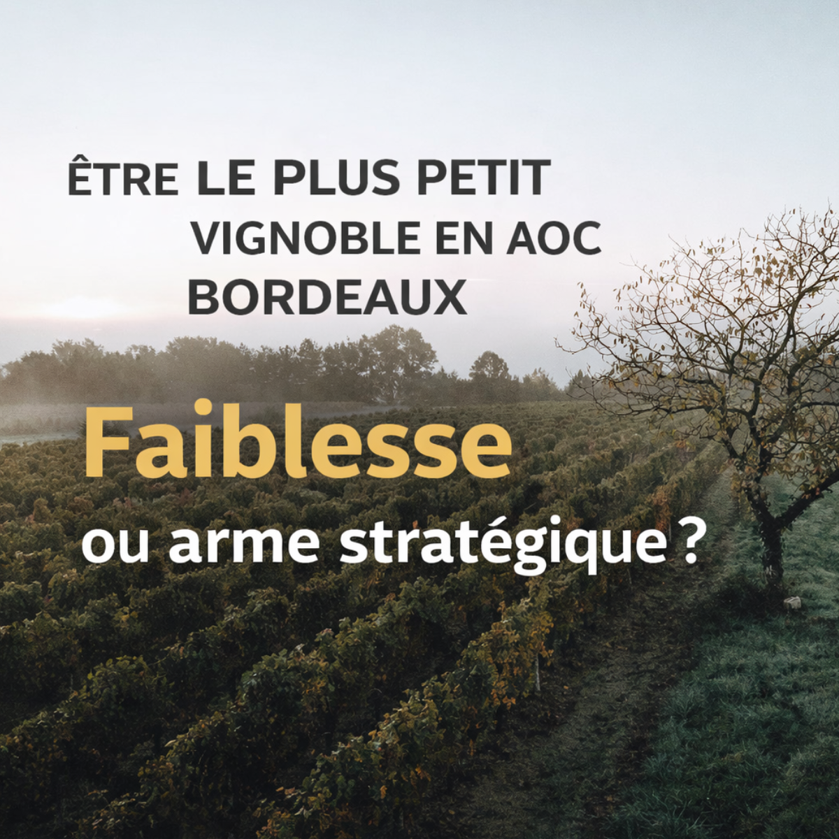 Being the smallest estate in Bordeaux AOC: a weakness or a strategic advantage ?