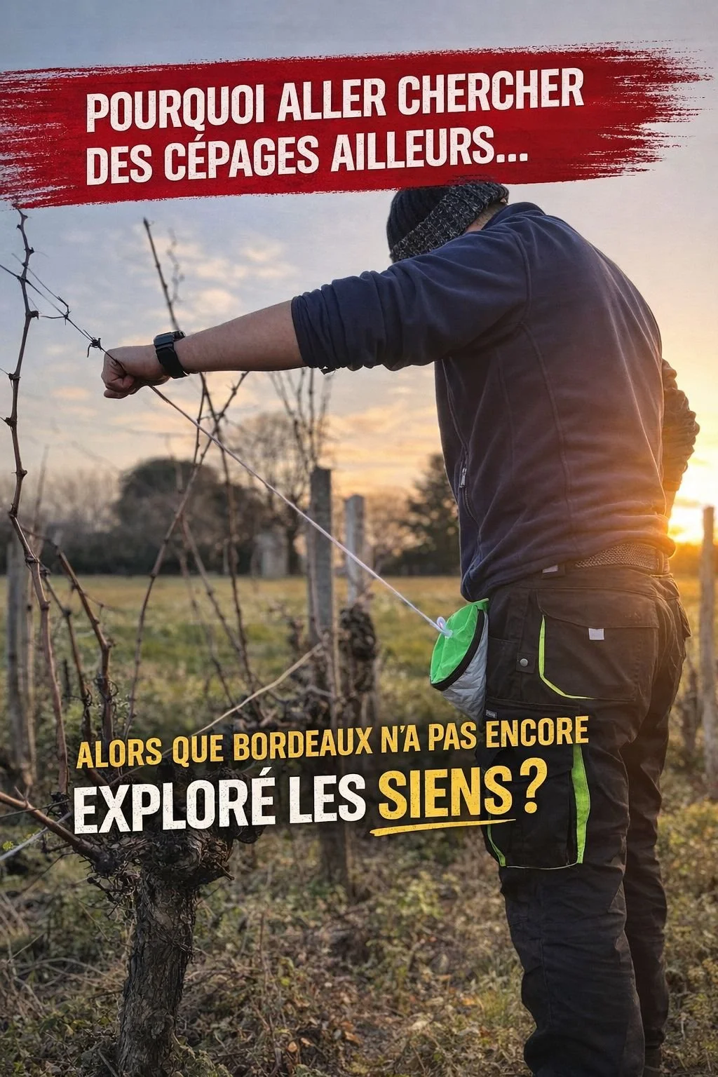 Why look for new grape varieties elsewhere when Bordeaux hasn’t fully explored its own ?