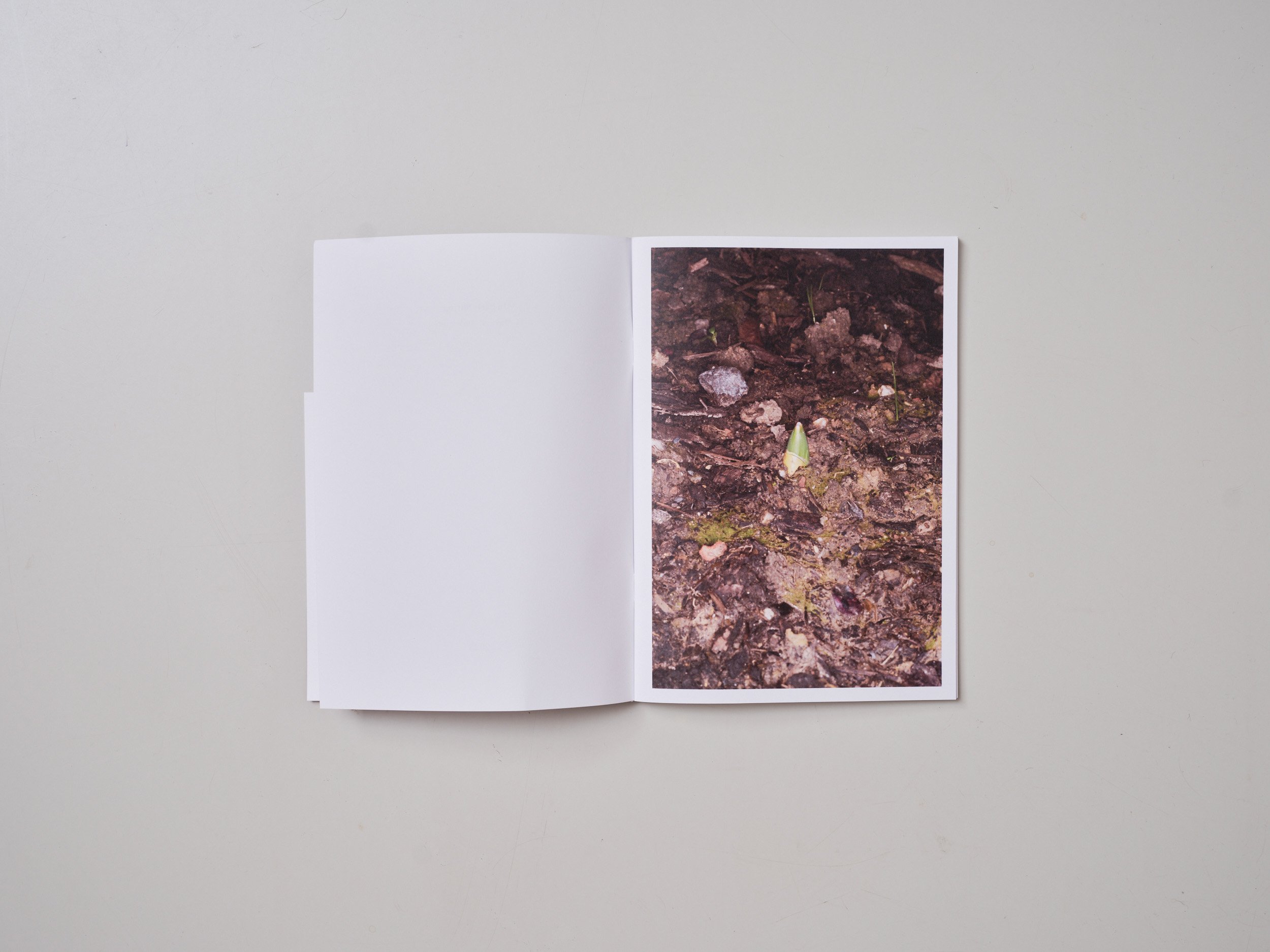 Photo zine In Early Spring by London based artist photographer Maxwell Anderson