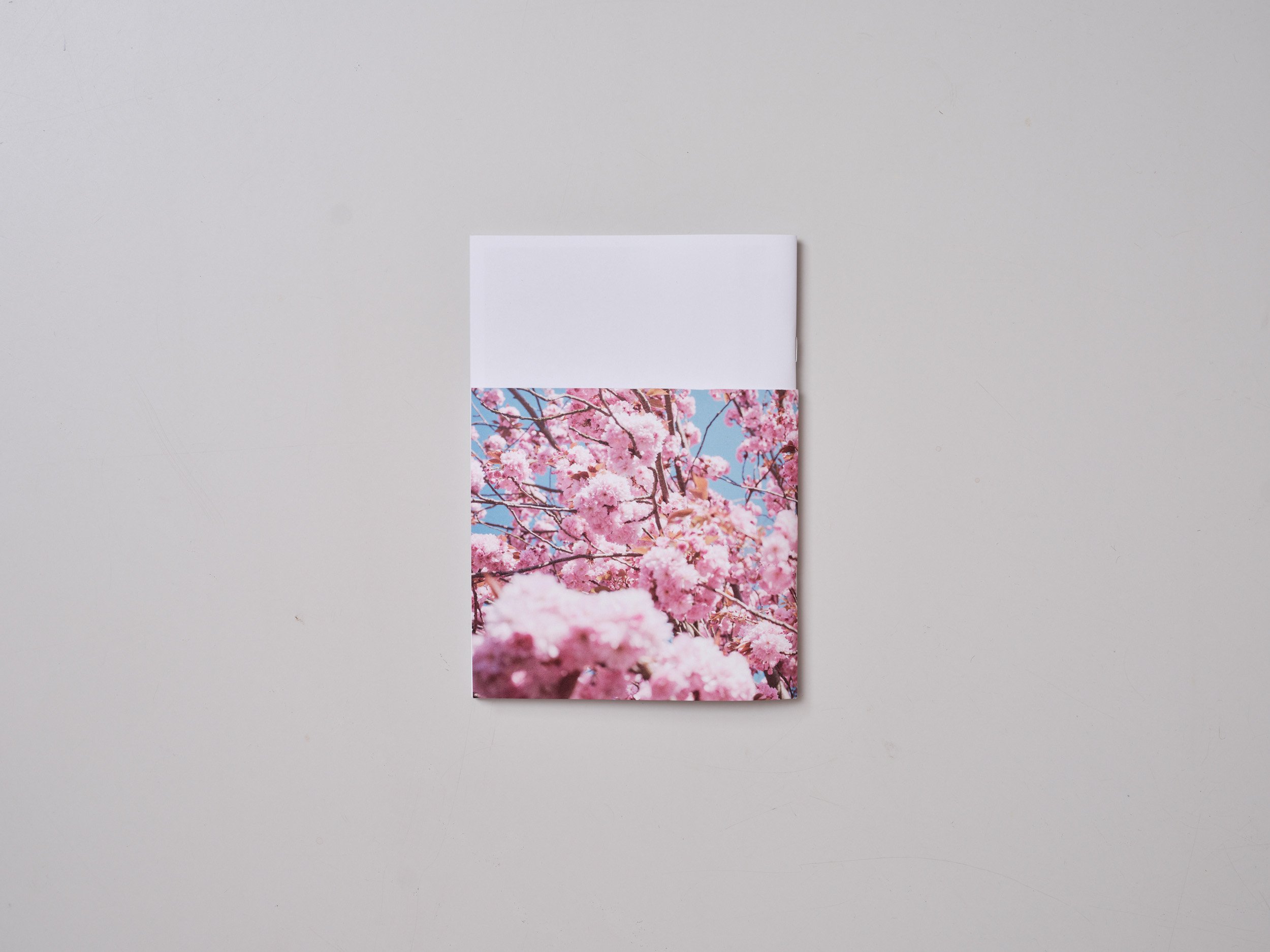 Photo zine In Early Spring by London based artist photographer Maxwell Anderson