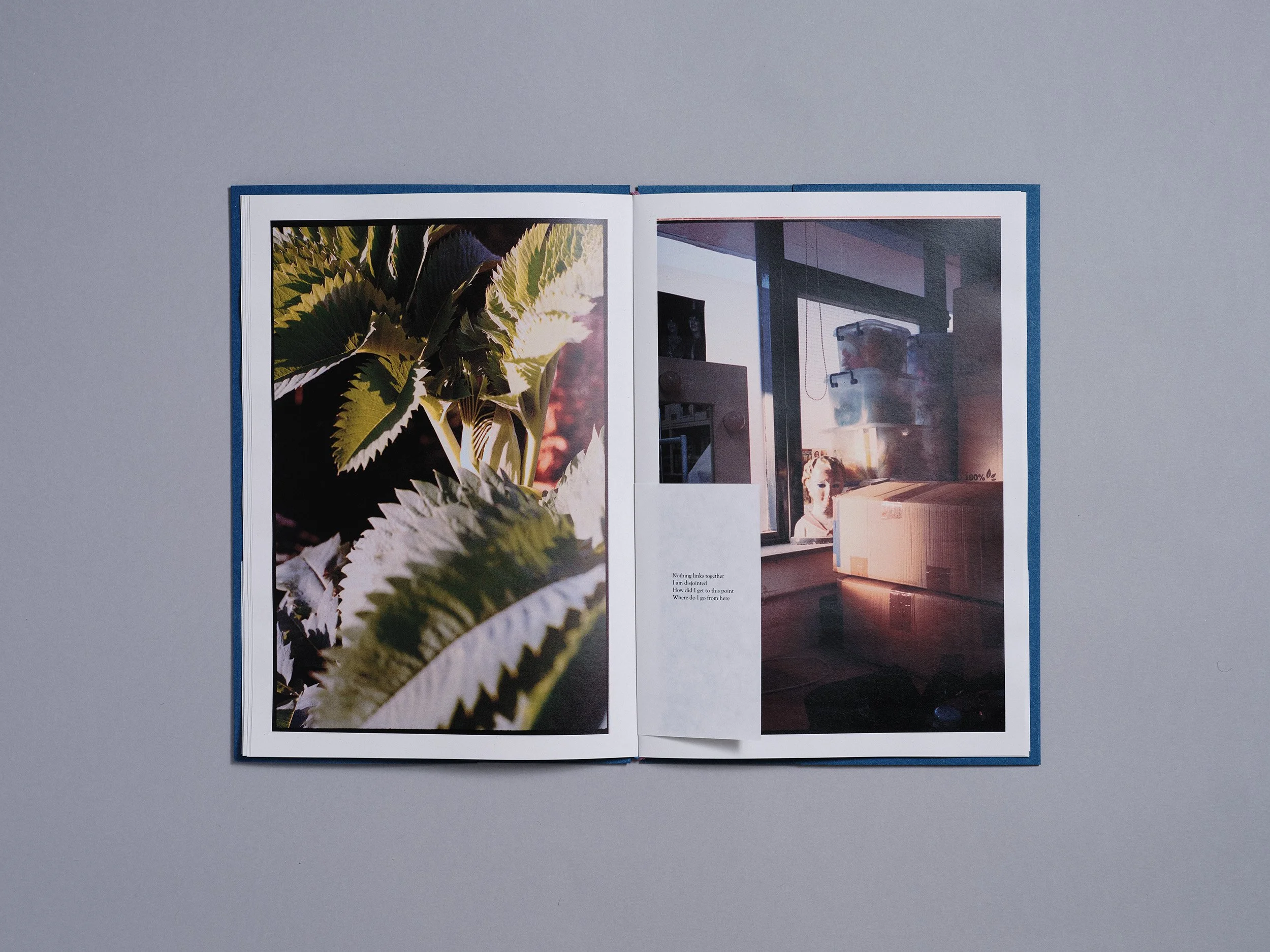 A hand made printed photobook zine of photographs and a poem, hand made by London based artist and photographer Maxwell Anderson
