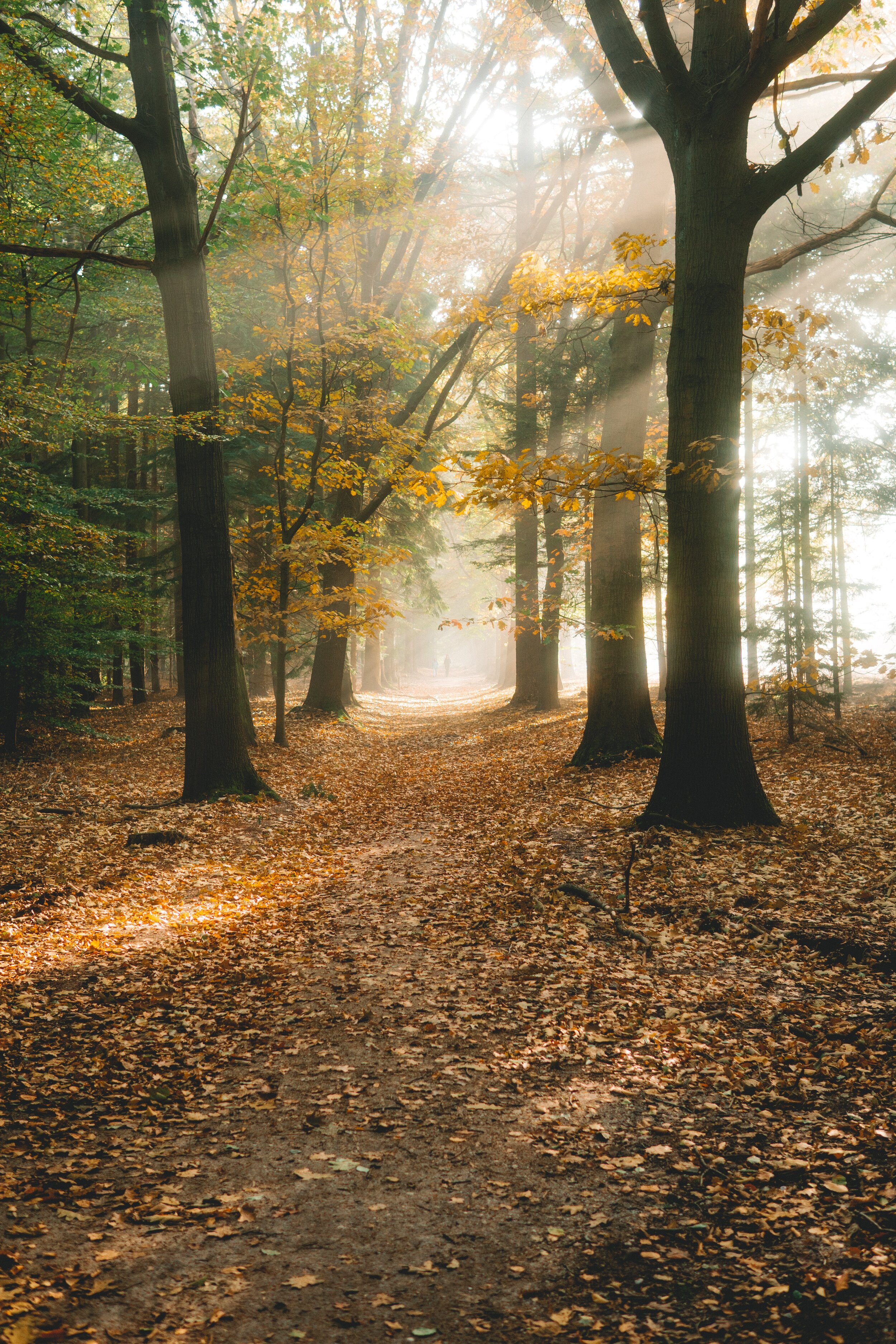 Foto's Ardennen.jpg