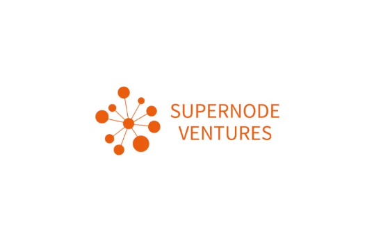 Limited Partner Investment