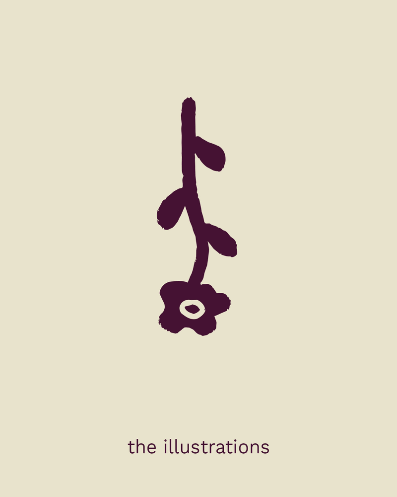 A simple dark purple line drawing of a flower with a stem and leaves, hanging upside down on a light beige background, with the words "the illustrations" written below.