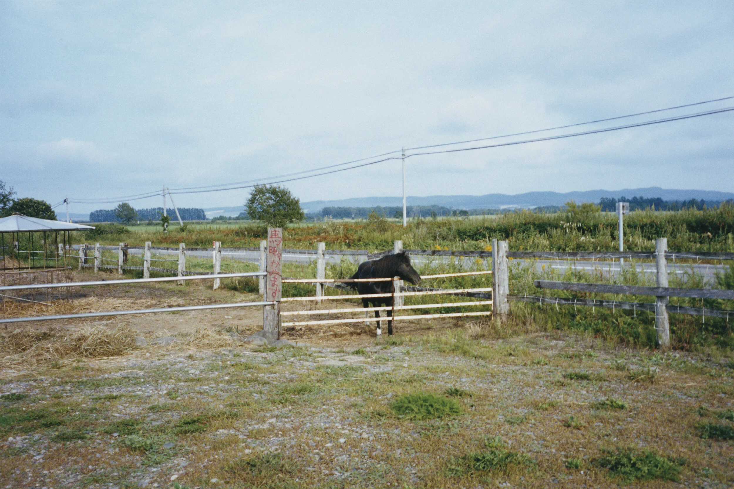 scan_091.jpg