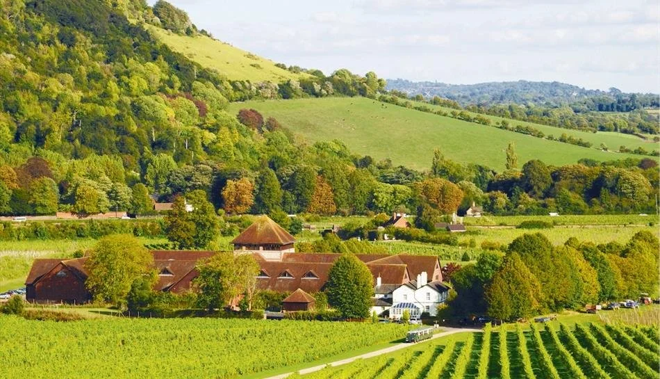 surrey business trends