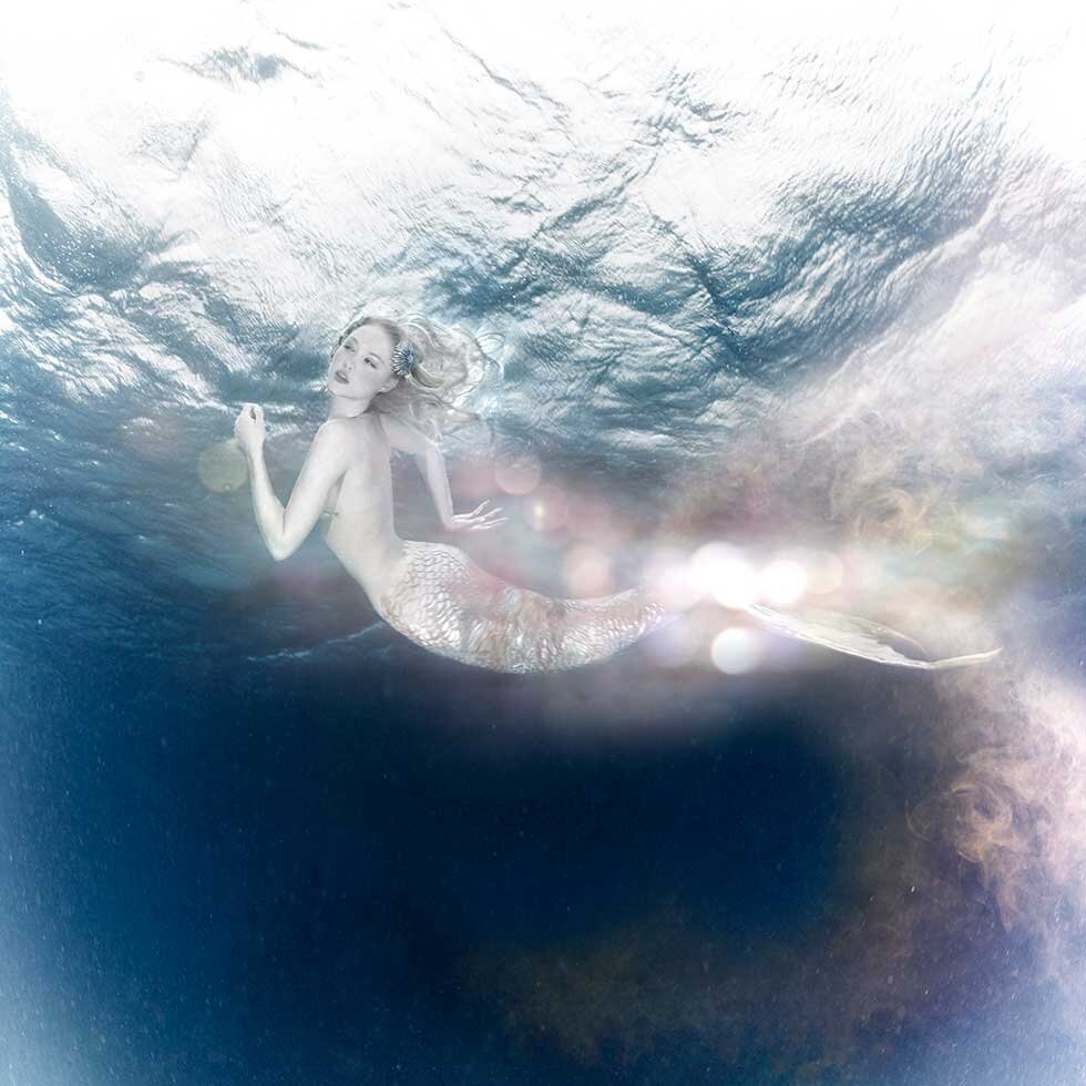 Underwater photography of mermaids swimming in the ocean and seahorses ...
