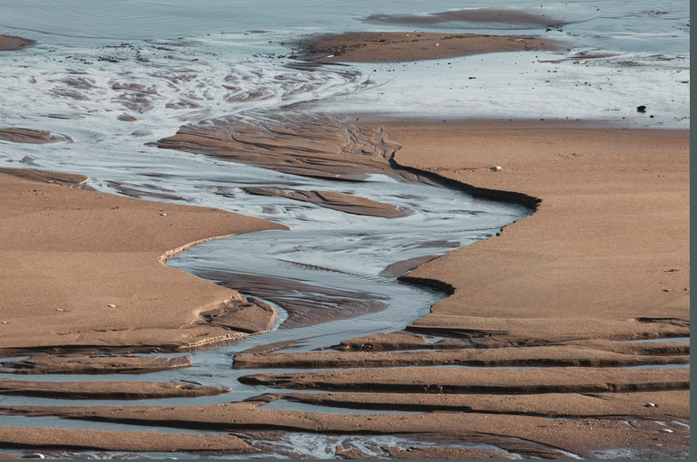 An Estuary in Time