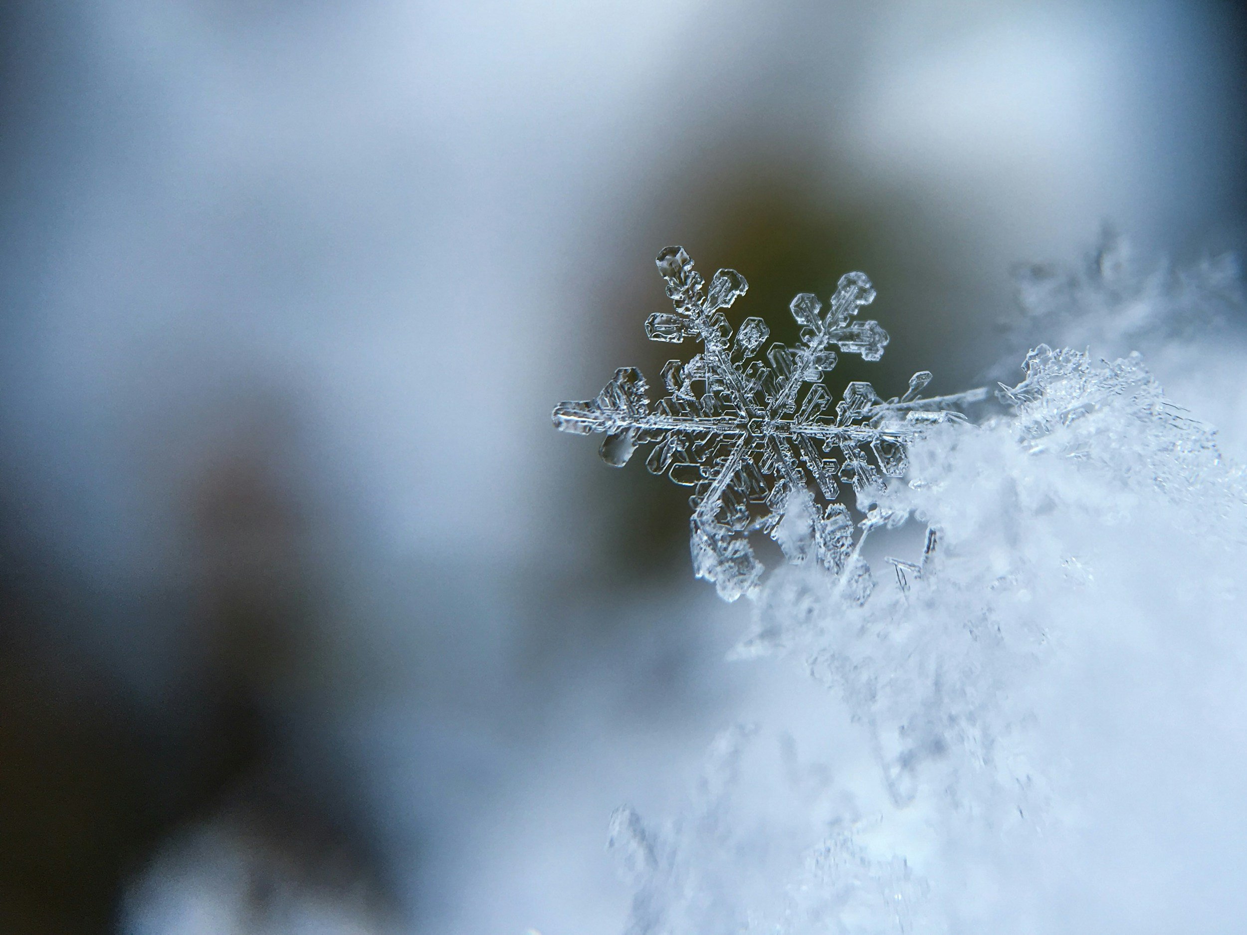 Aquarius Season, Octavia Butler and Frozen Water