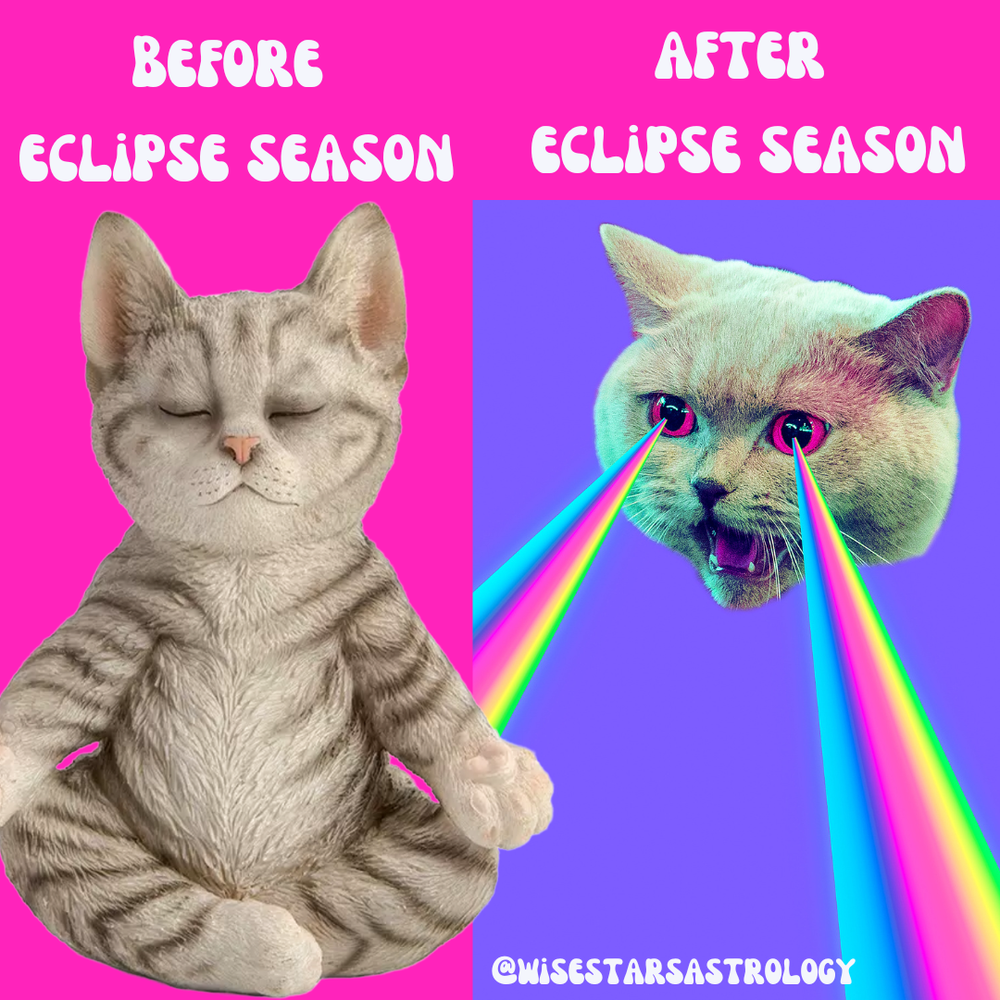 Eclipse Season Fall 2023 — Wisestars Astrology