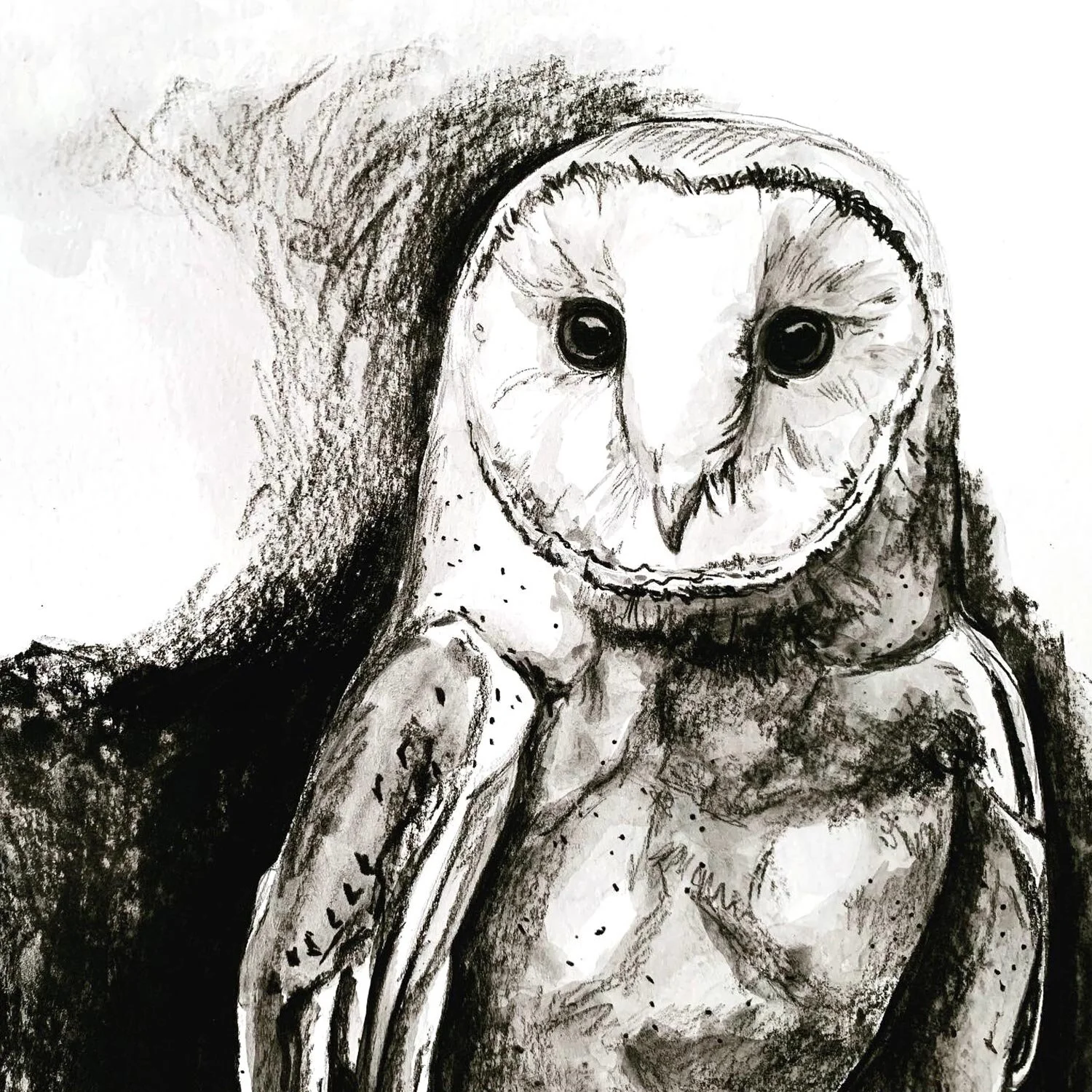 Charcoal-Owl1-Kasey-Melissa-Art.jpg
