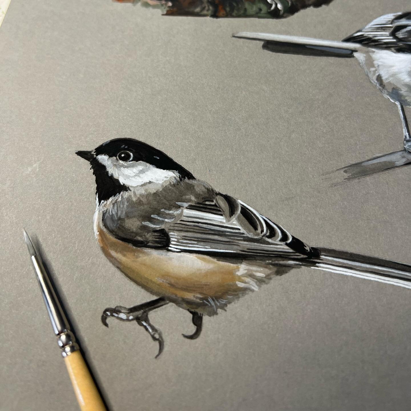 One more&hellip; that was fun!

What&rsquo;s your favorite bird? First 3 people to answer, I will paint those next!

#favoritebird #birdpainting #naturepaintings #artinnature #paintingaday #practiceisprogress