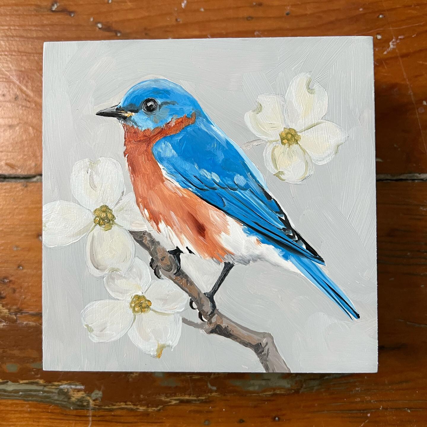 A couple of blue birds to start the week. 
Which one do you like?
@amanda.dwyer.art voted for blue bird.
Oil on cradled wood.
#paintingoftheday #bluebird #bluebirdpainting #birdlover #oilpainter #nature #birdsinnature