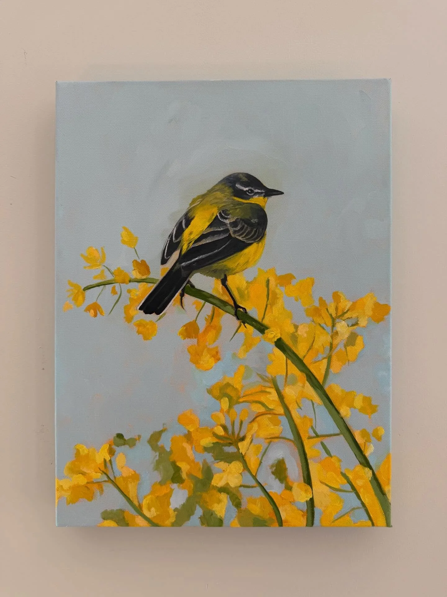 A little bird and spring colors to bring you a little joy. 
Actually having time to oil paint after 4-5 months is such a blessing and hope to get a few more new ones done.
#oilpainter #birdlover #birdsofinstagram #licensingartist