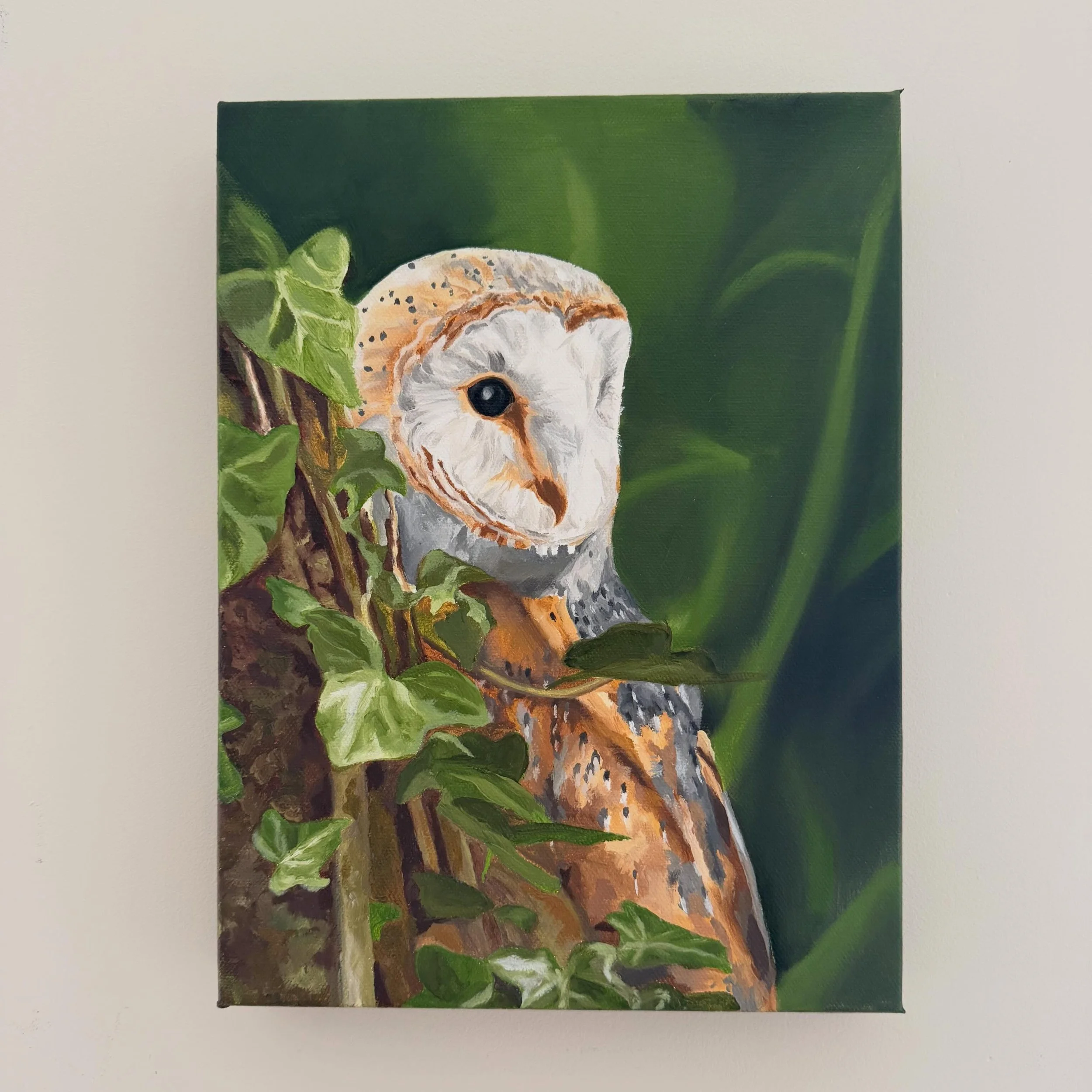 New Barn Owl complete!
I have to say this was not an easy one but I&rsquo;m really happy with how it turned out.

Oil on canvas
#barnowl #oilpaintingartist #owlsofınstagram #oilpainting #birdlover