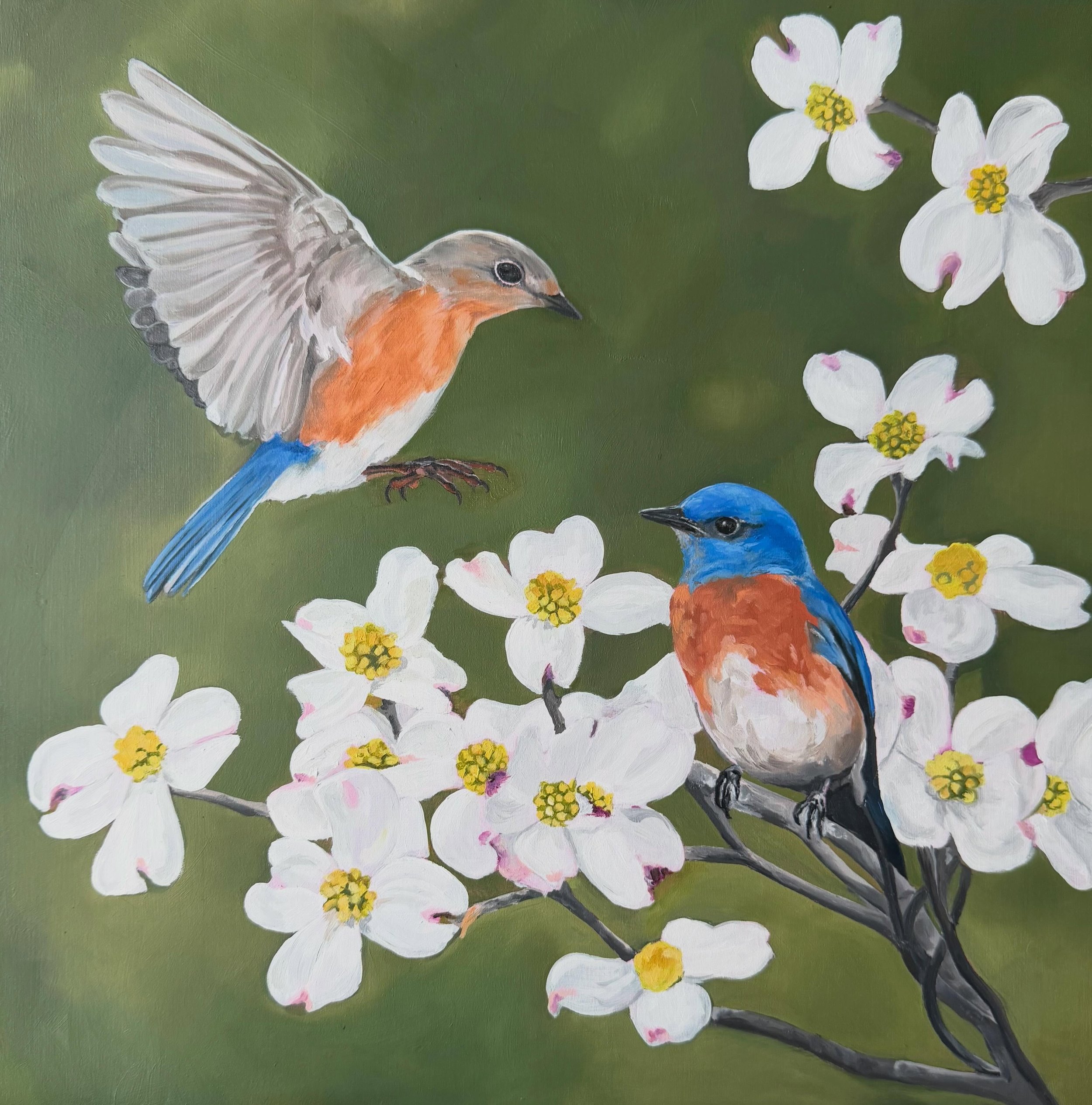 Latest oil painting&hellip; including one of my favorite trees, the dogwood, And the ever stunning bluebirds!
Bluebirds | dogwood tree | oil painting
