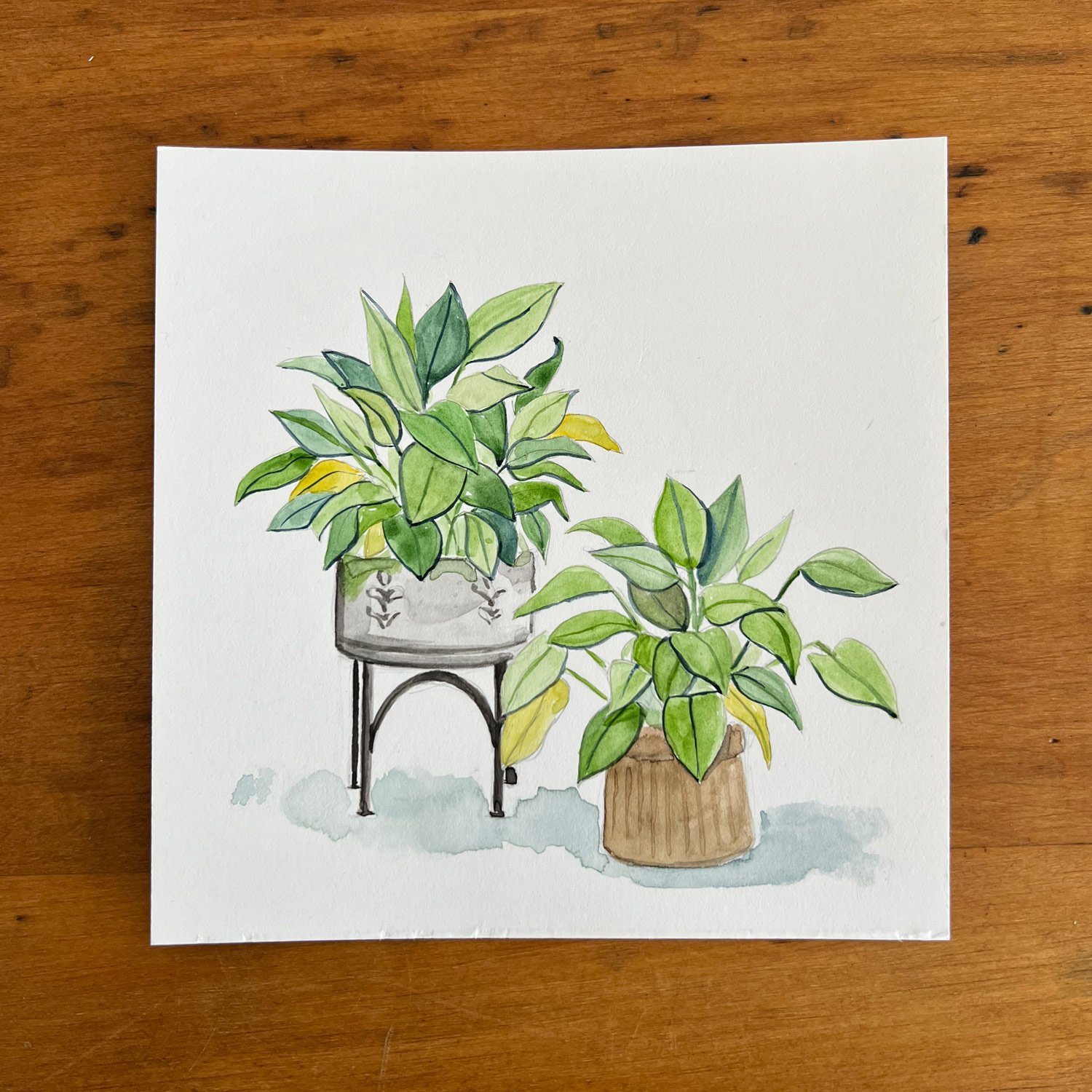 Plants.jpg