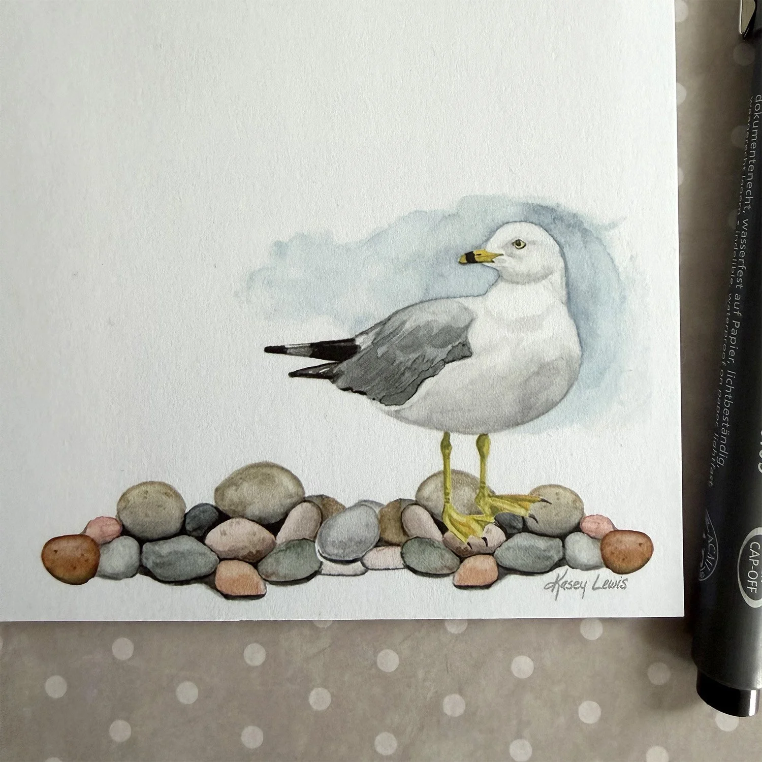 NP005 Seagull 1.jpg