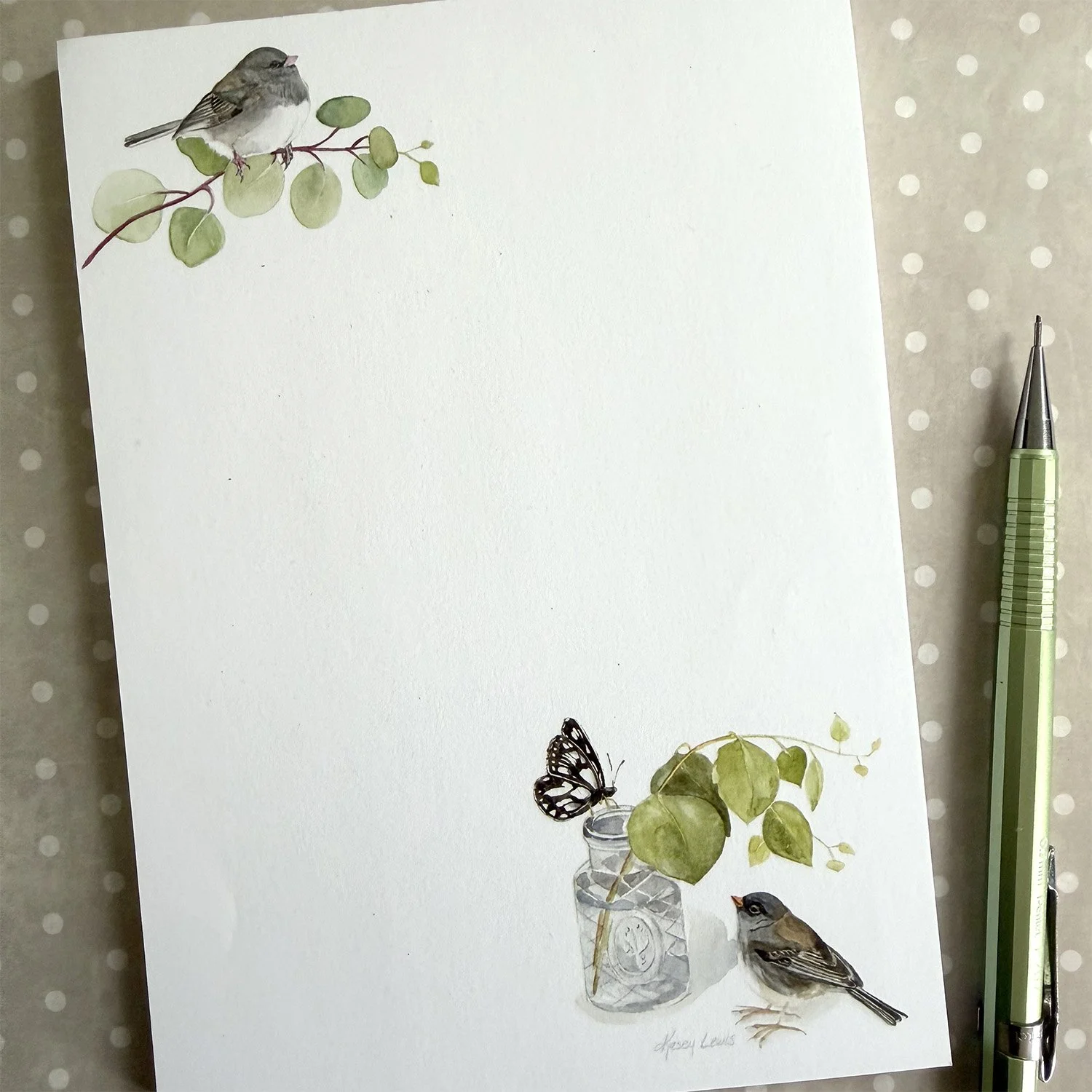 NP001 Junco4.jpg