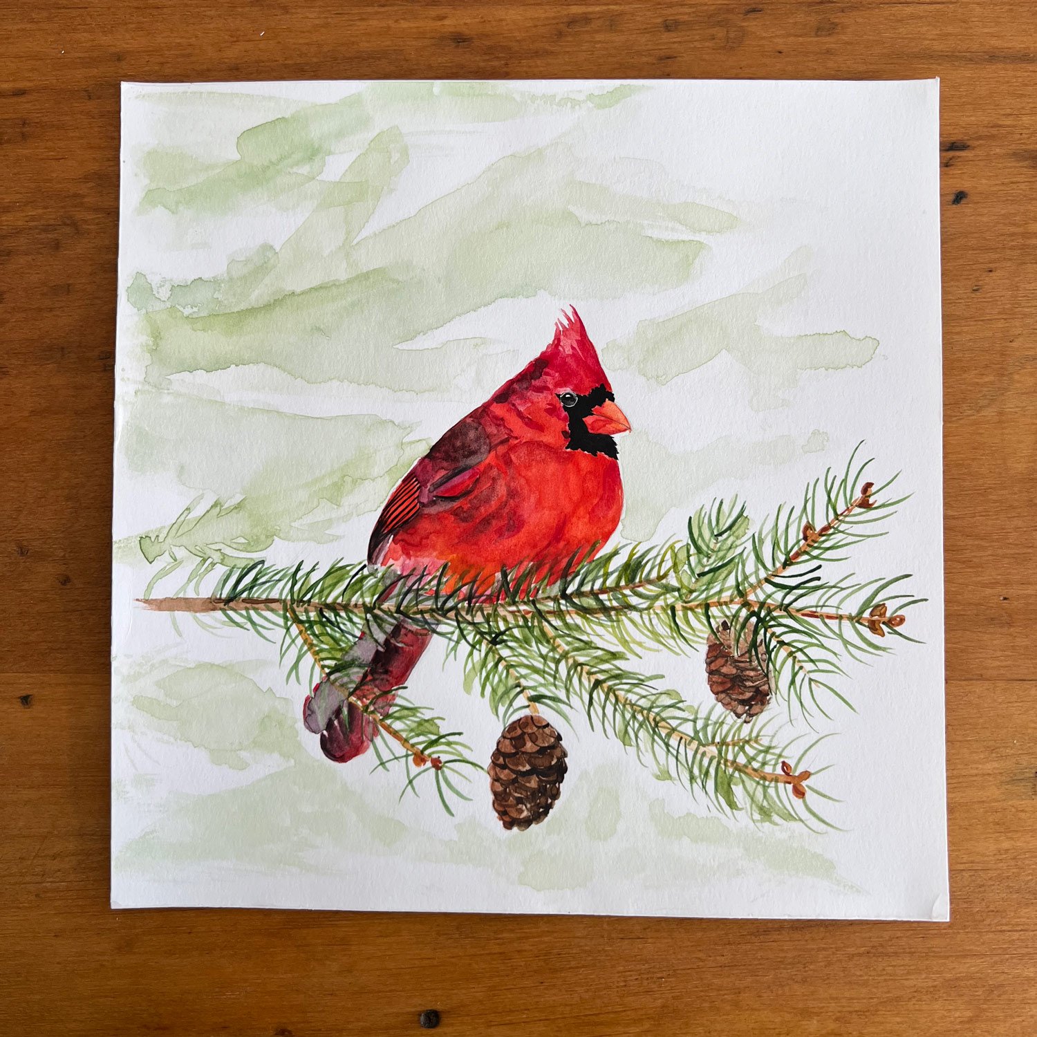 Cardinal-in-Pines.jpg
